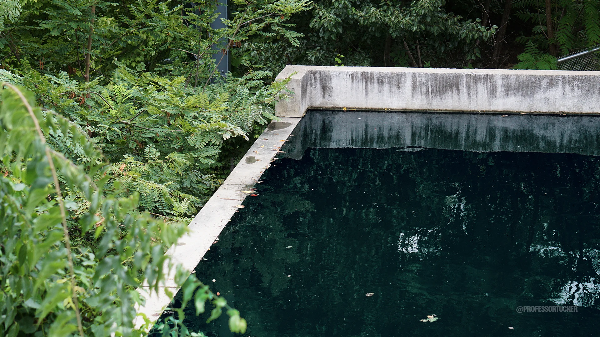 2016_Cumberland Park_321.jpg