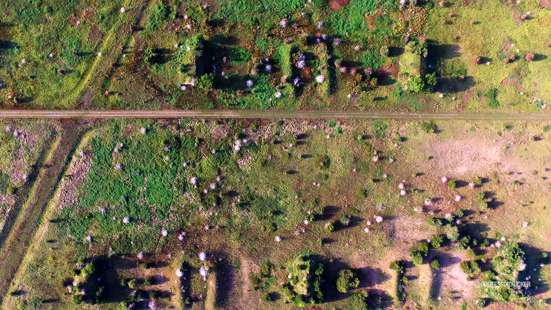 2016_Savanna Army Depot-NWR_105.jpg