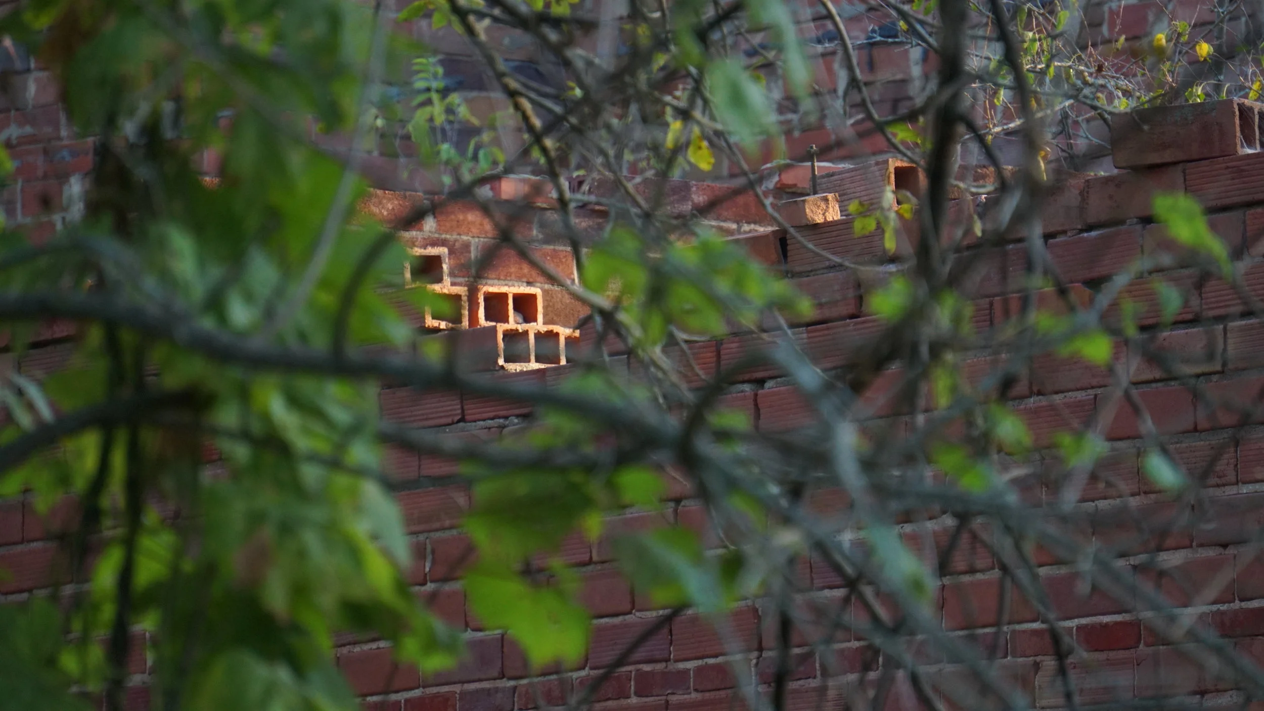 2015_0906 Redfield Brick and Tile_304.JPG