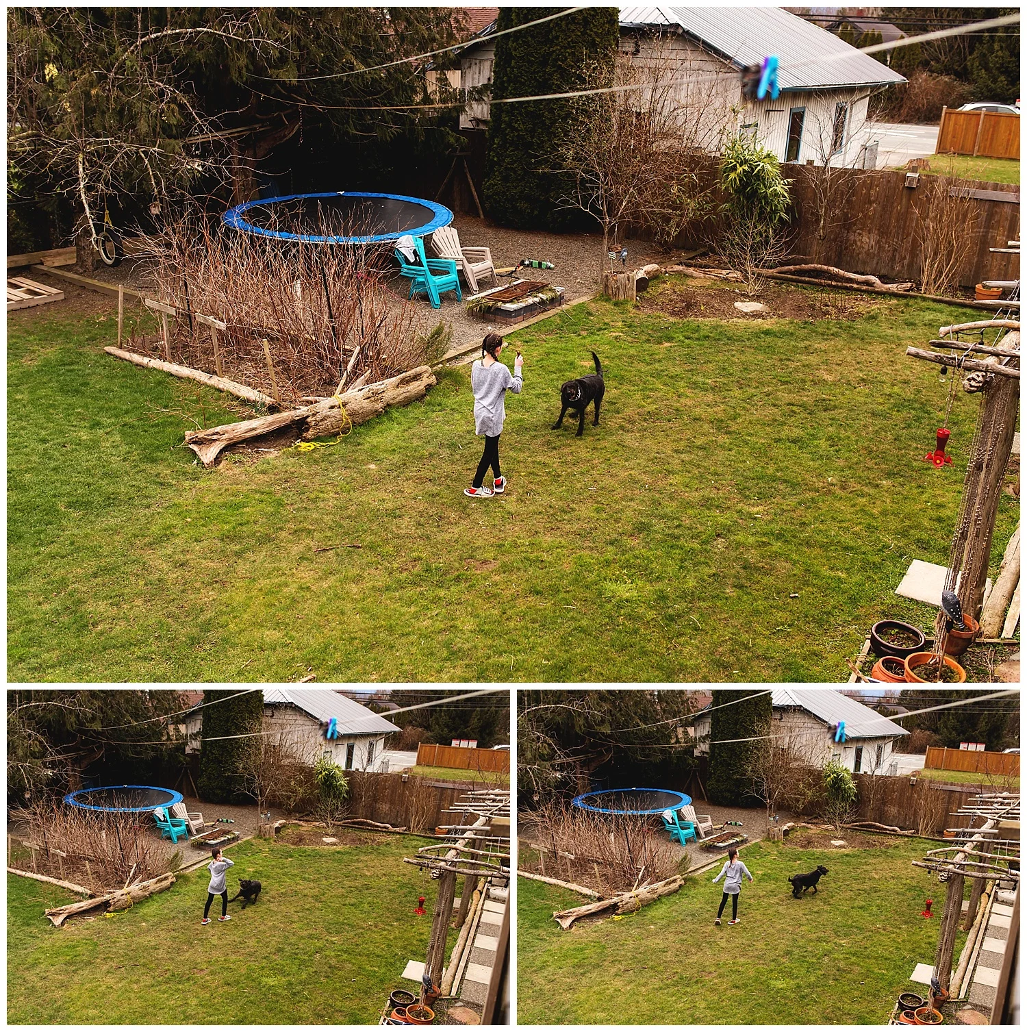 family documentary backyard.jpg