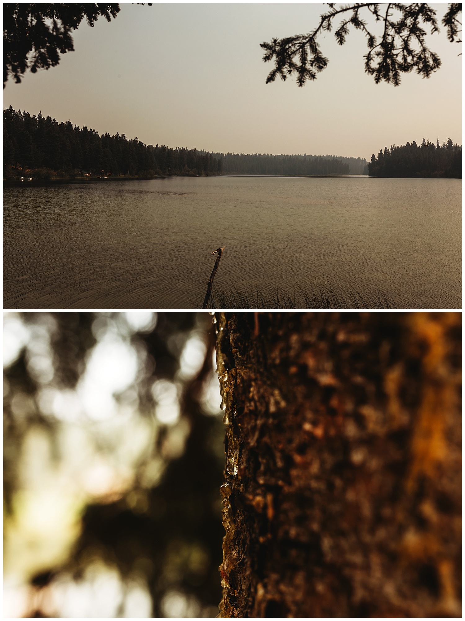 Fawn Lake_79.jpg