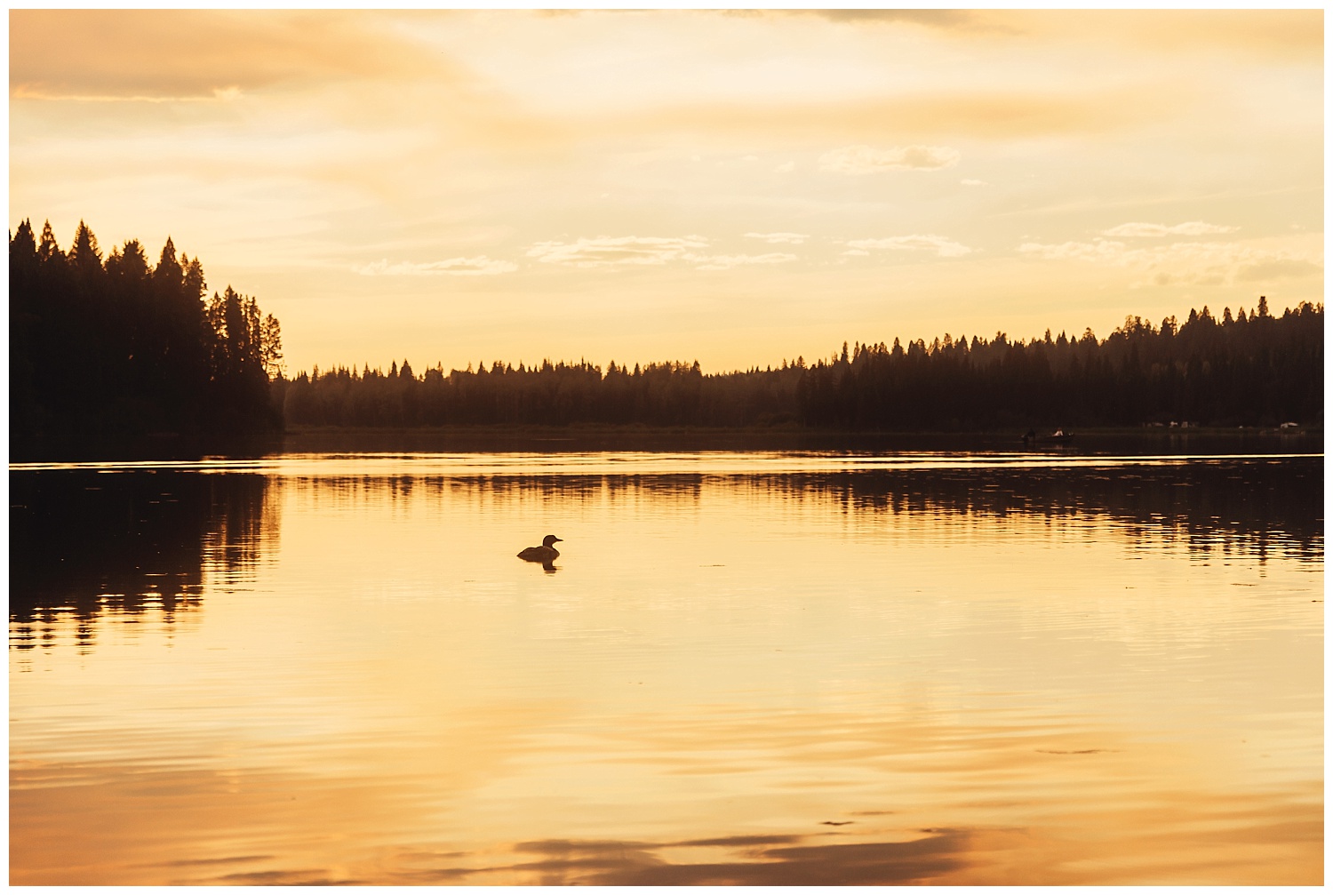 Fawn Lake_132.jpg