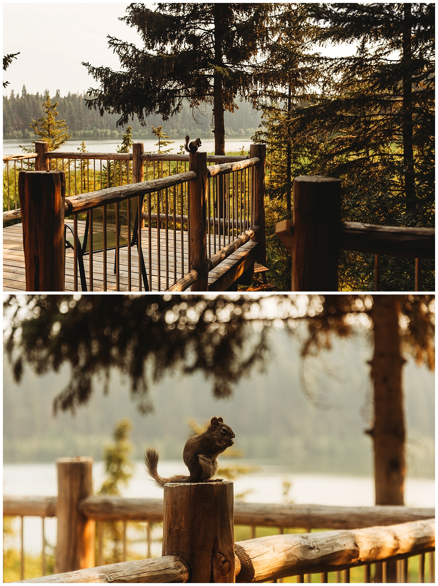 Fawn Lake_155.jpg