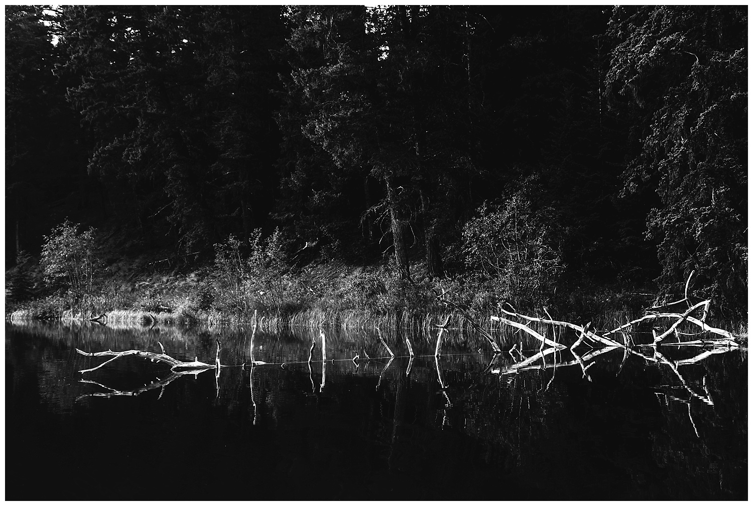 Fawn Lake_160.jpg
