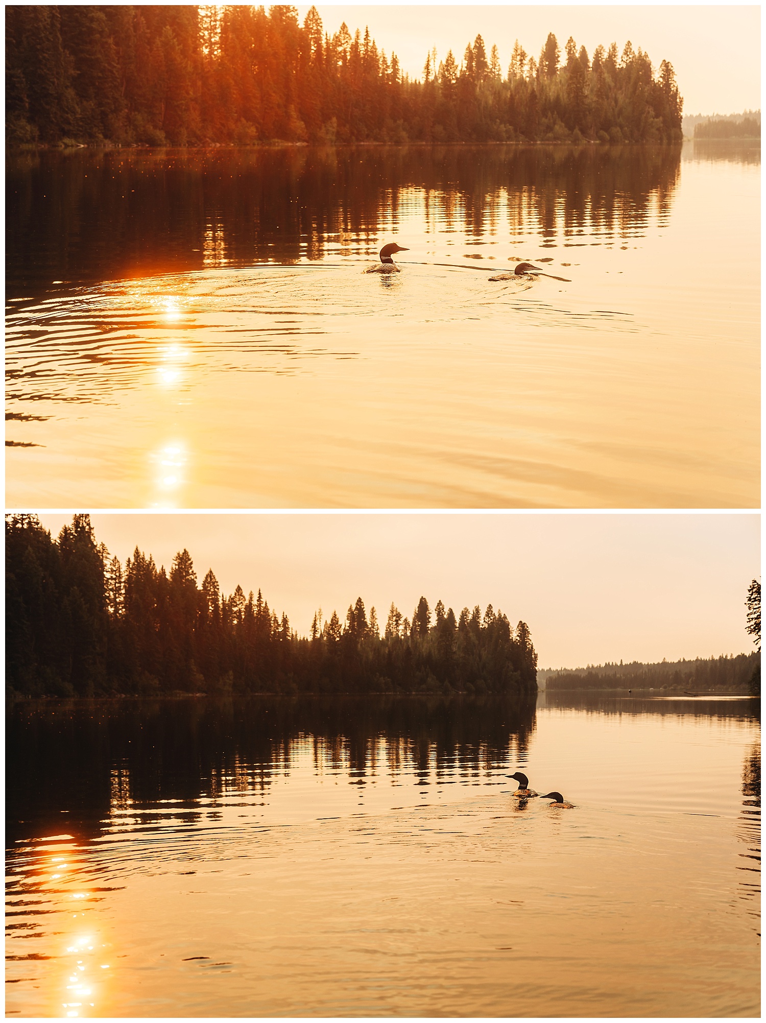 Fawn Lake_162.jpg