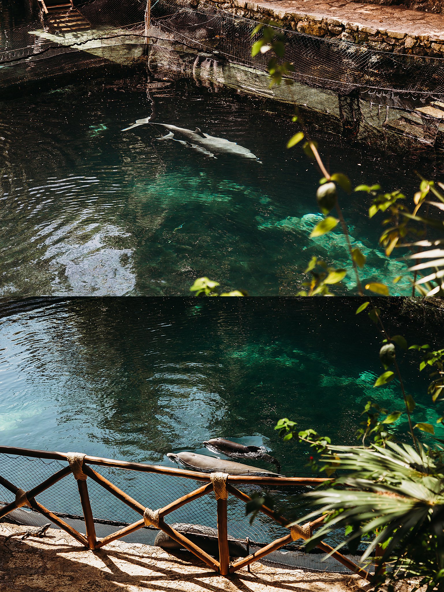 Mexico Vacation 2019 Anna Hurley Photography 79.jpg