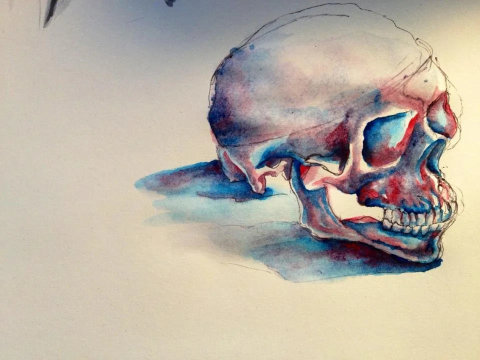 skull.jpg