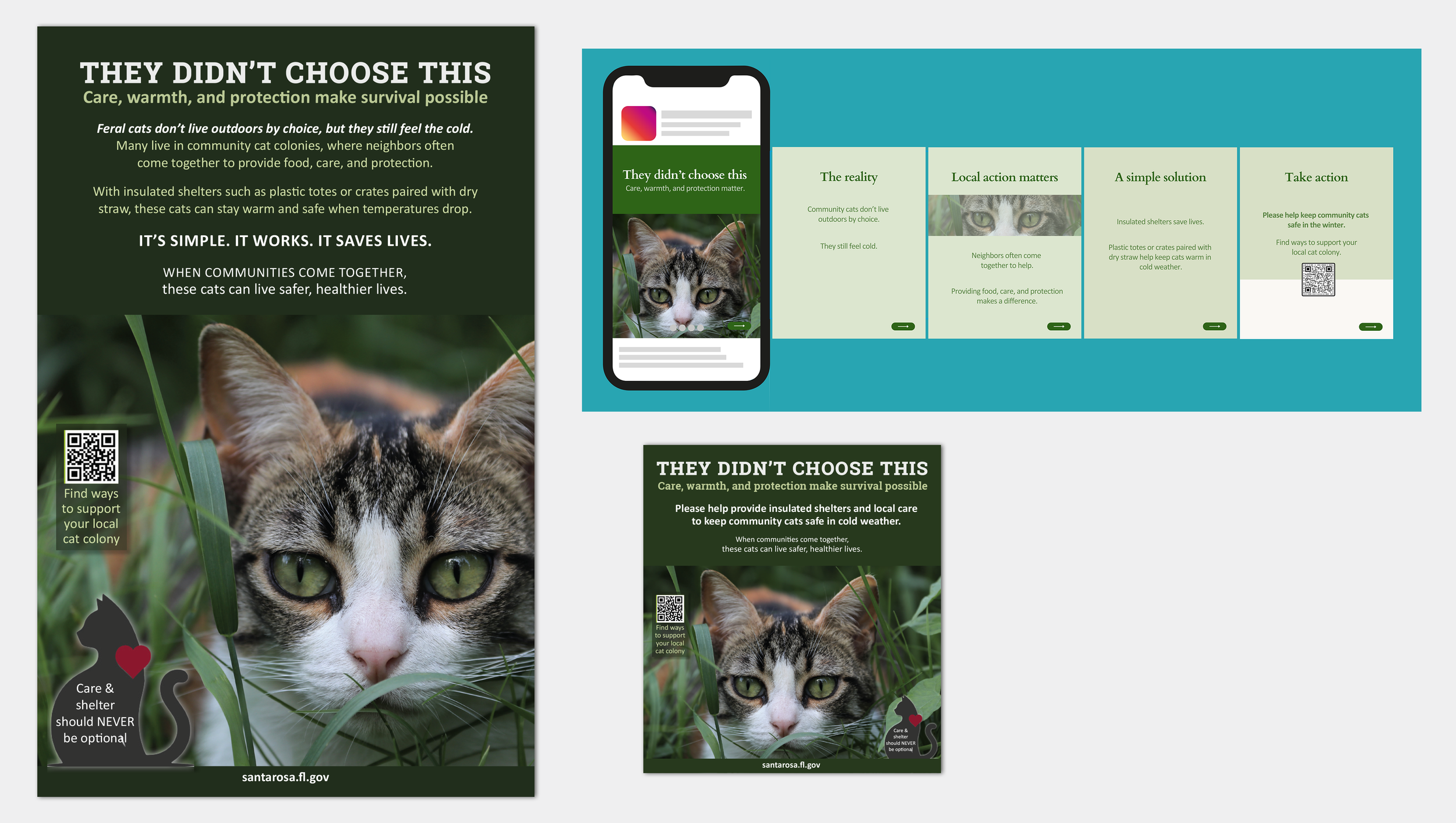 Cat Colony Campaign-02-2026.png