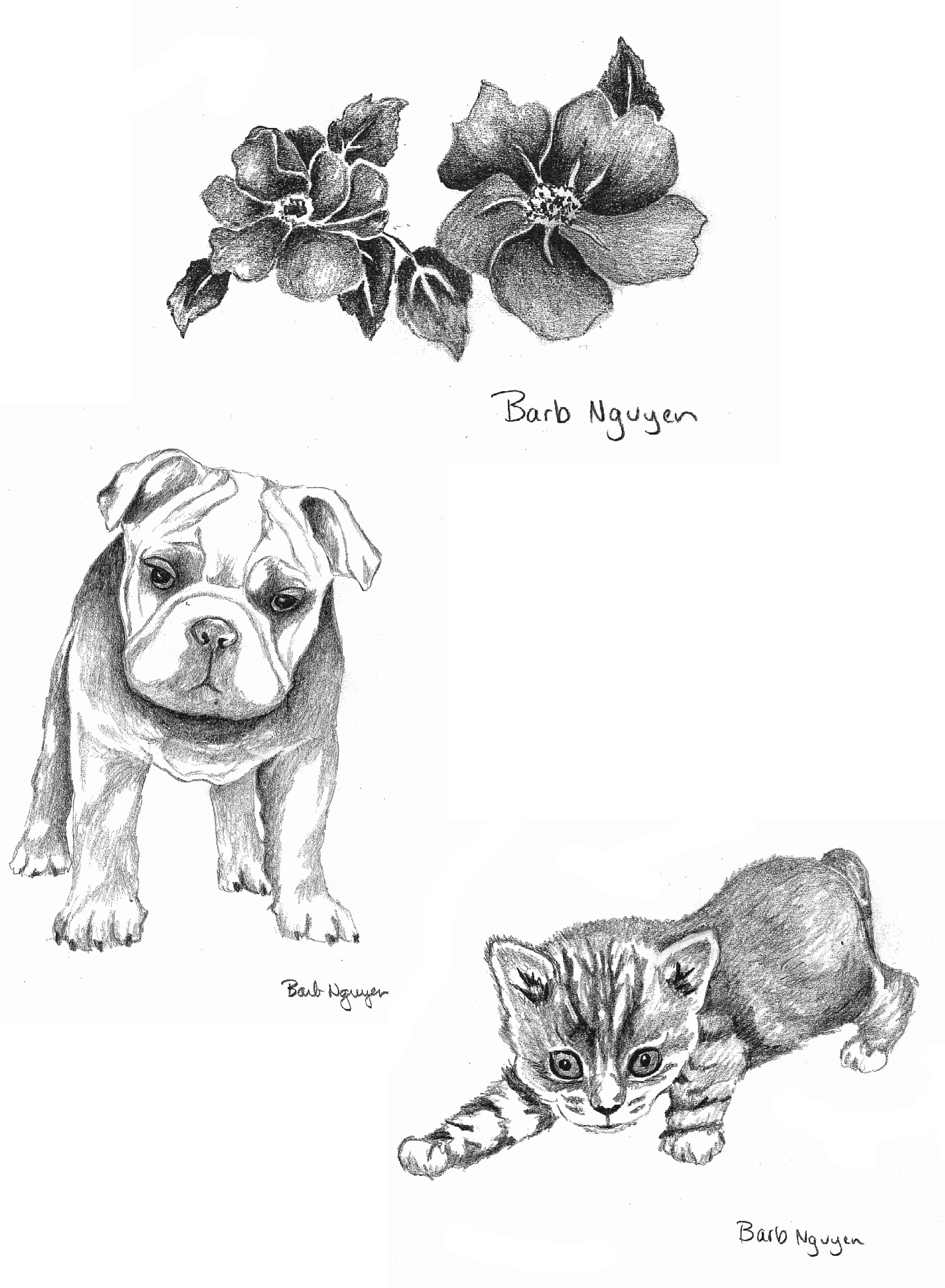 Illustration Samples-Nguyen.png