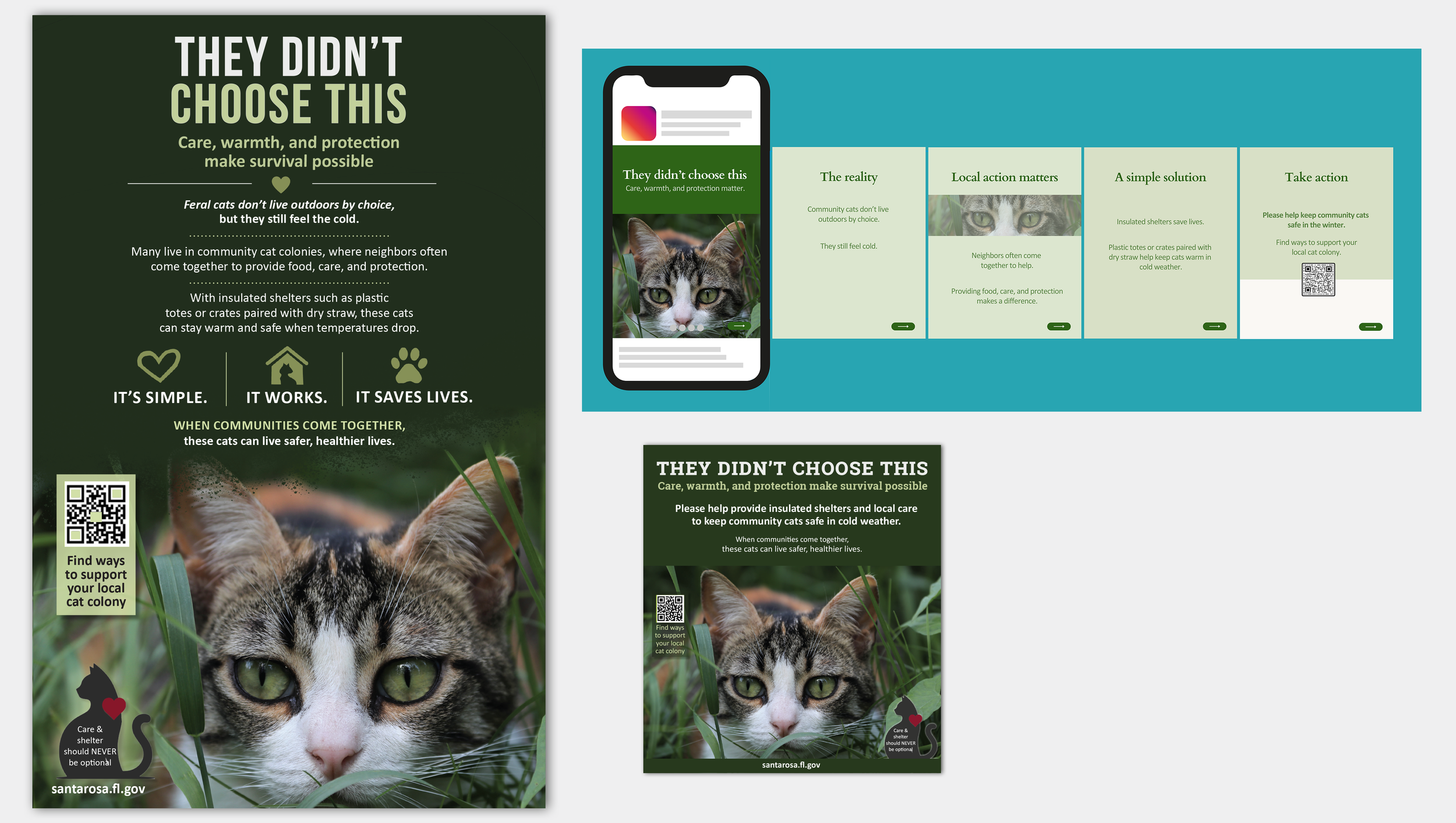 Cat Colony Campaign-06-2026.png