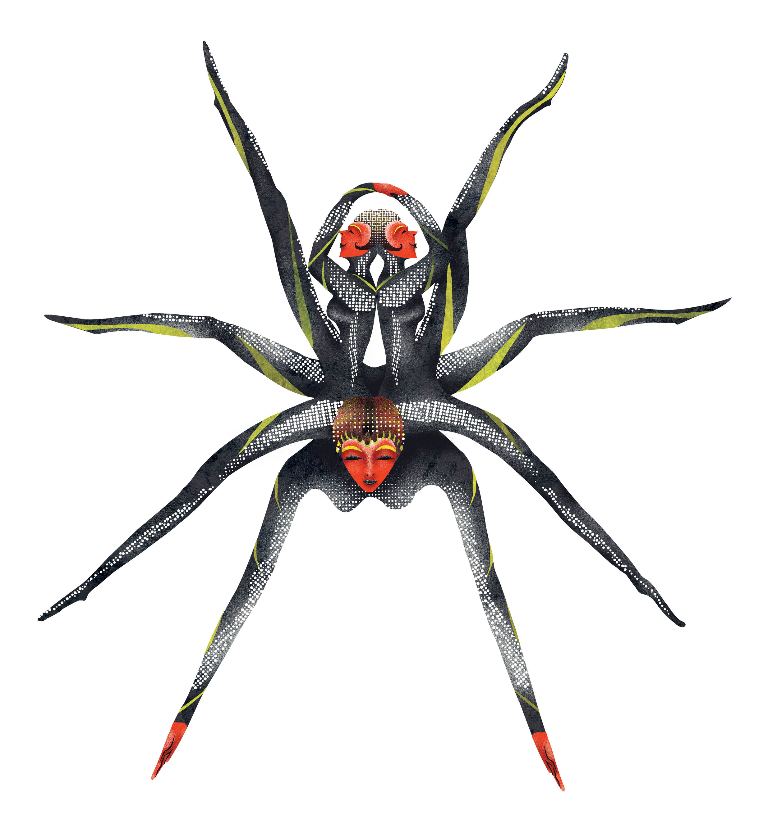 spider.jpg