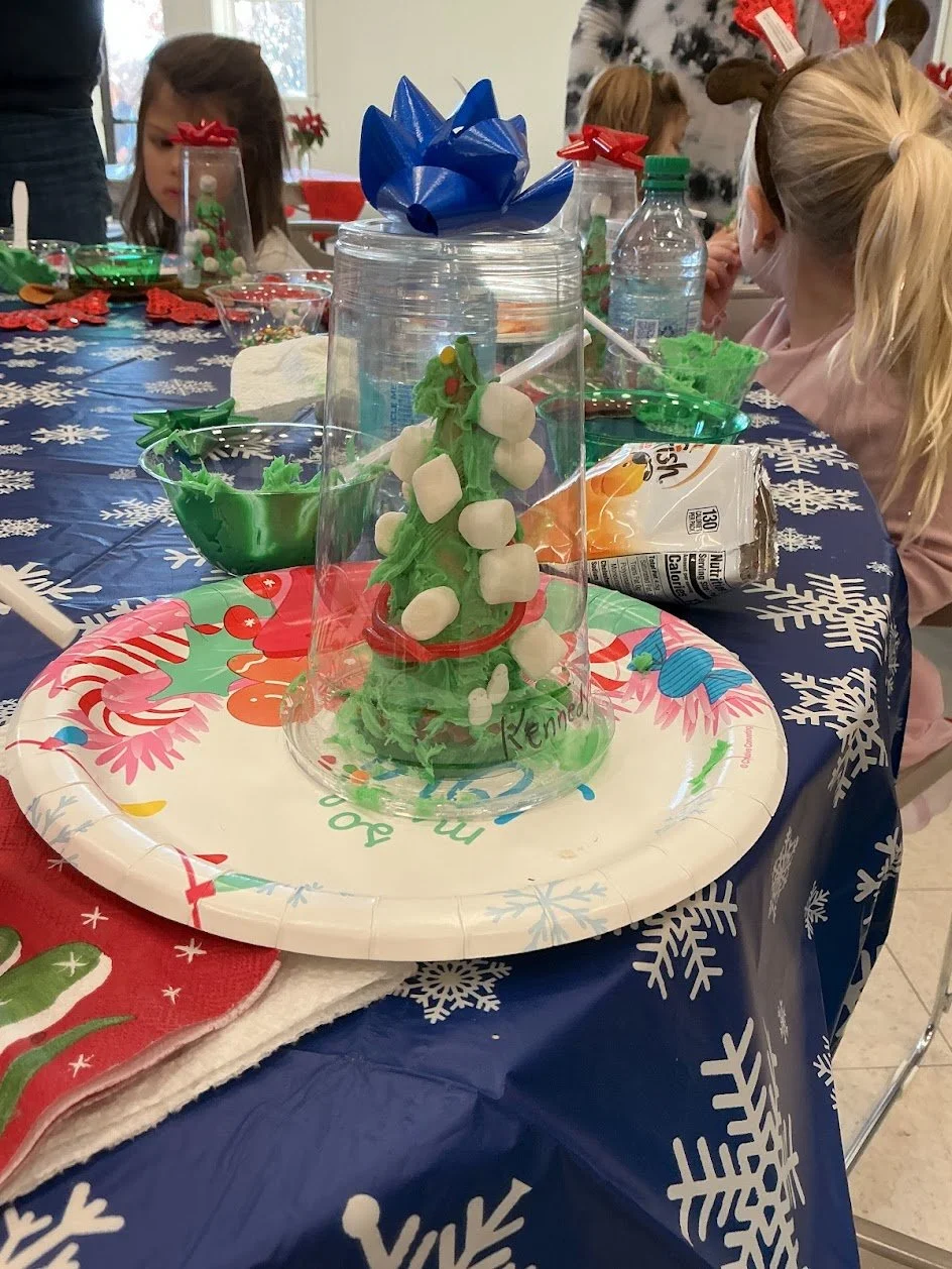 conetree.jpg