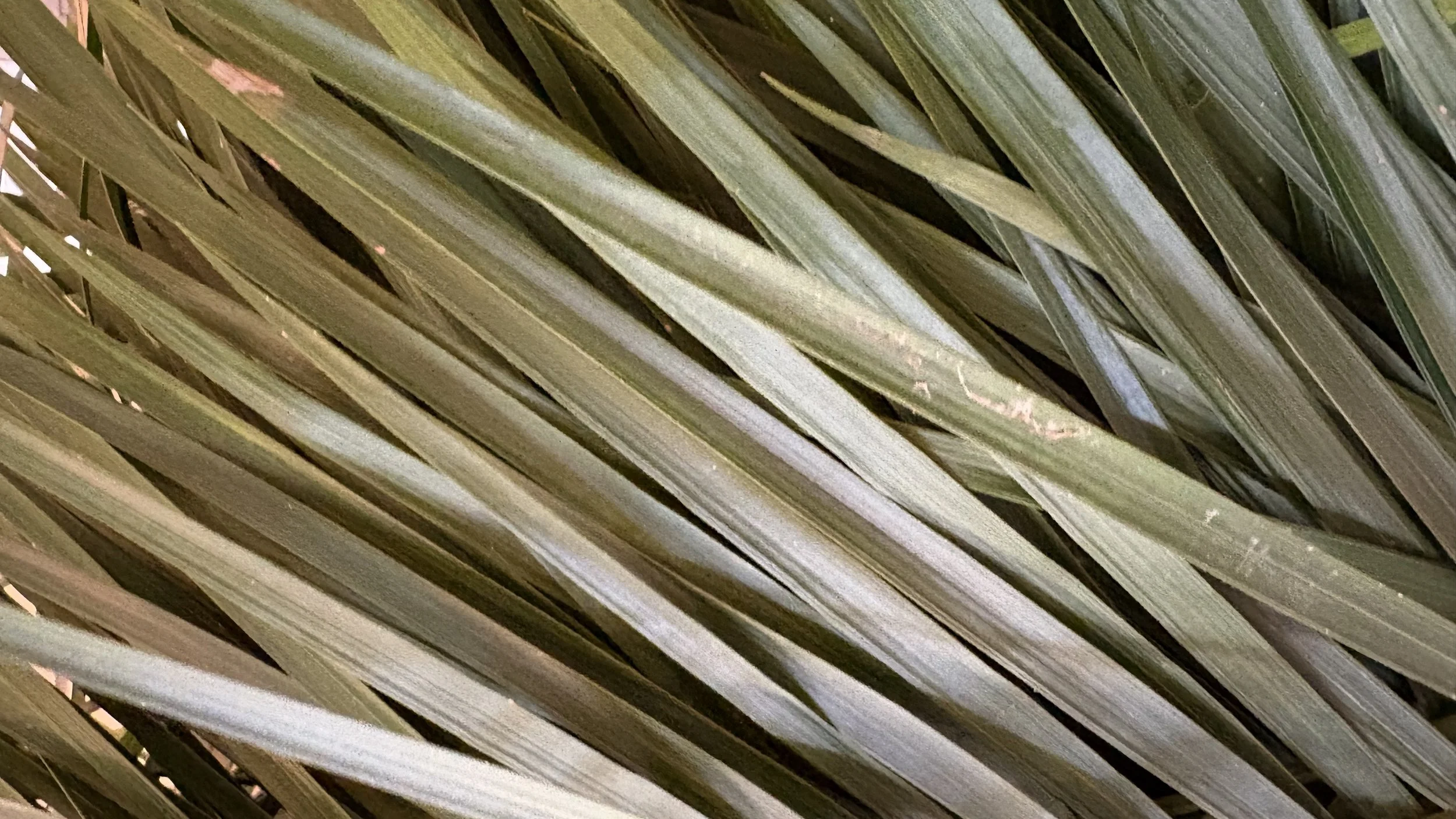 April is Just Around the Corner!  🦋