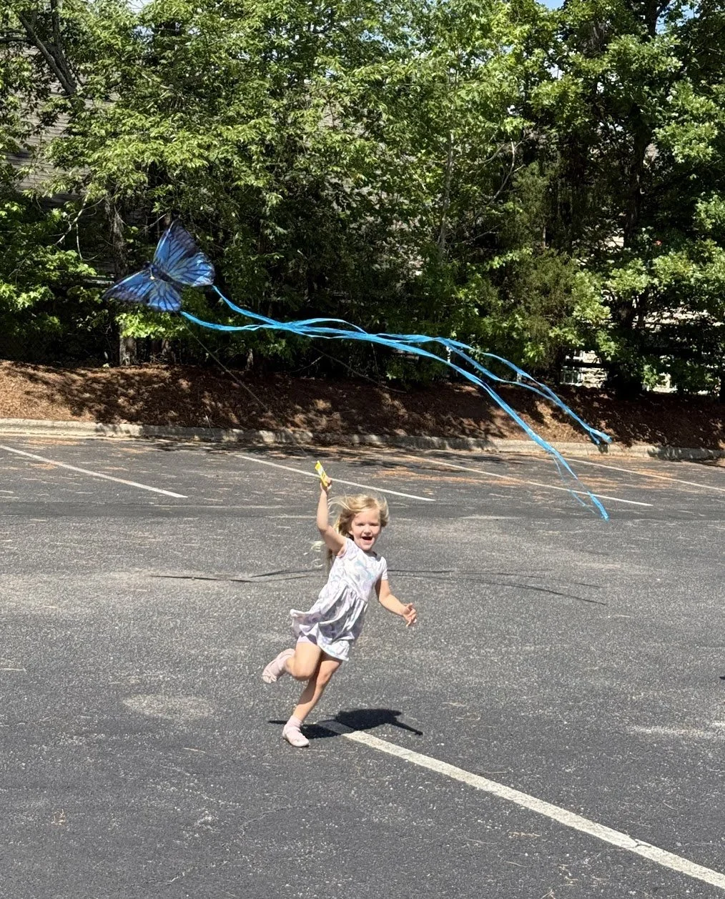 kite.jpeg
