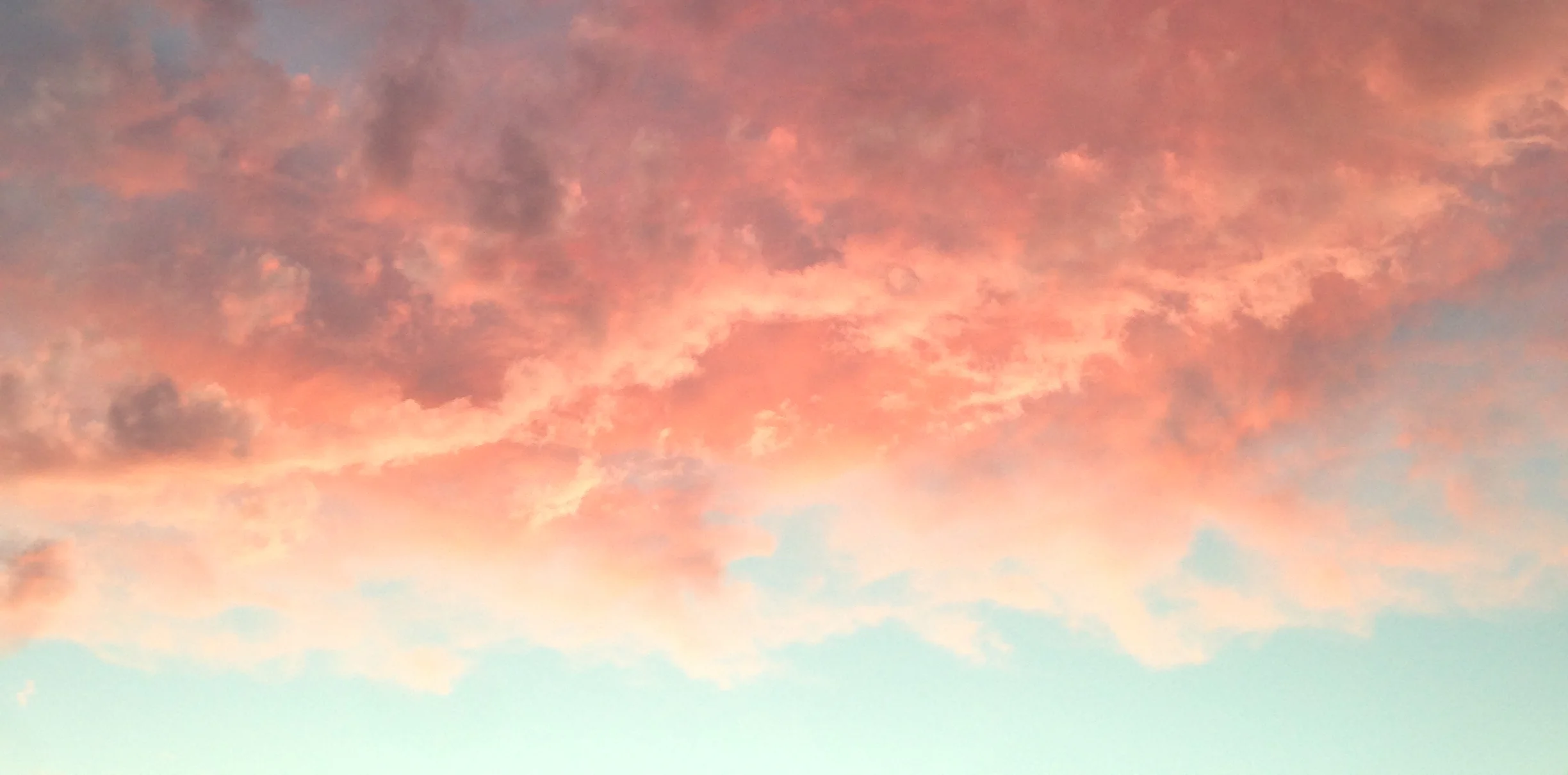HEADER.jpg