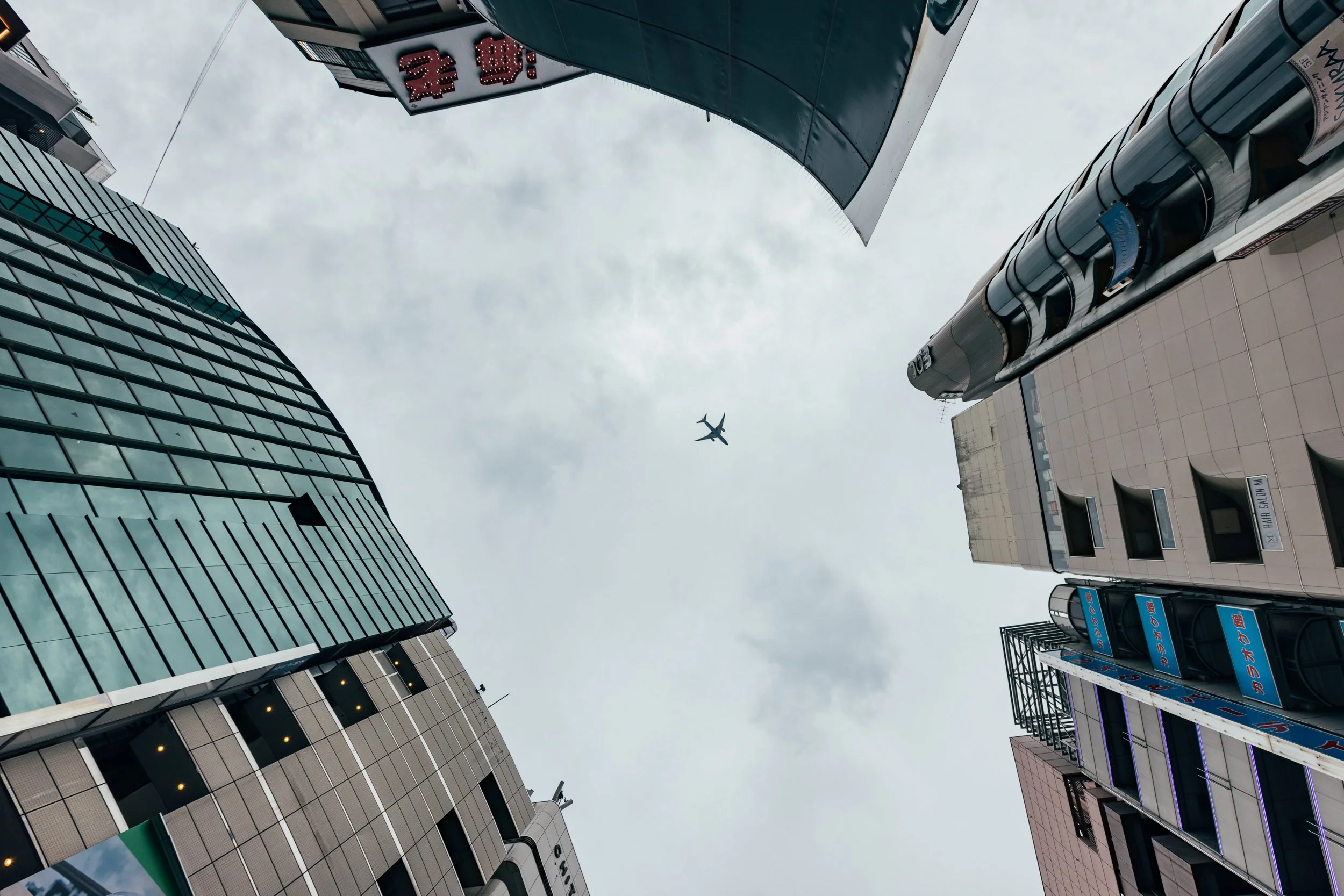 _C0A2804.jpg