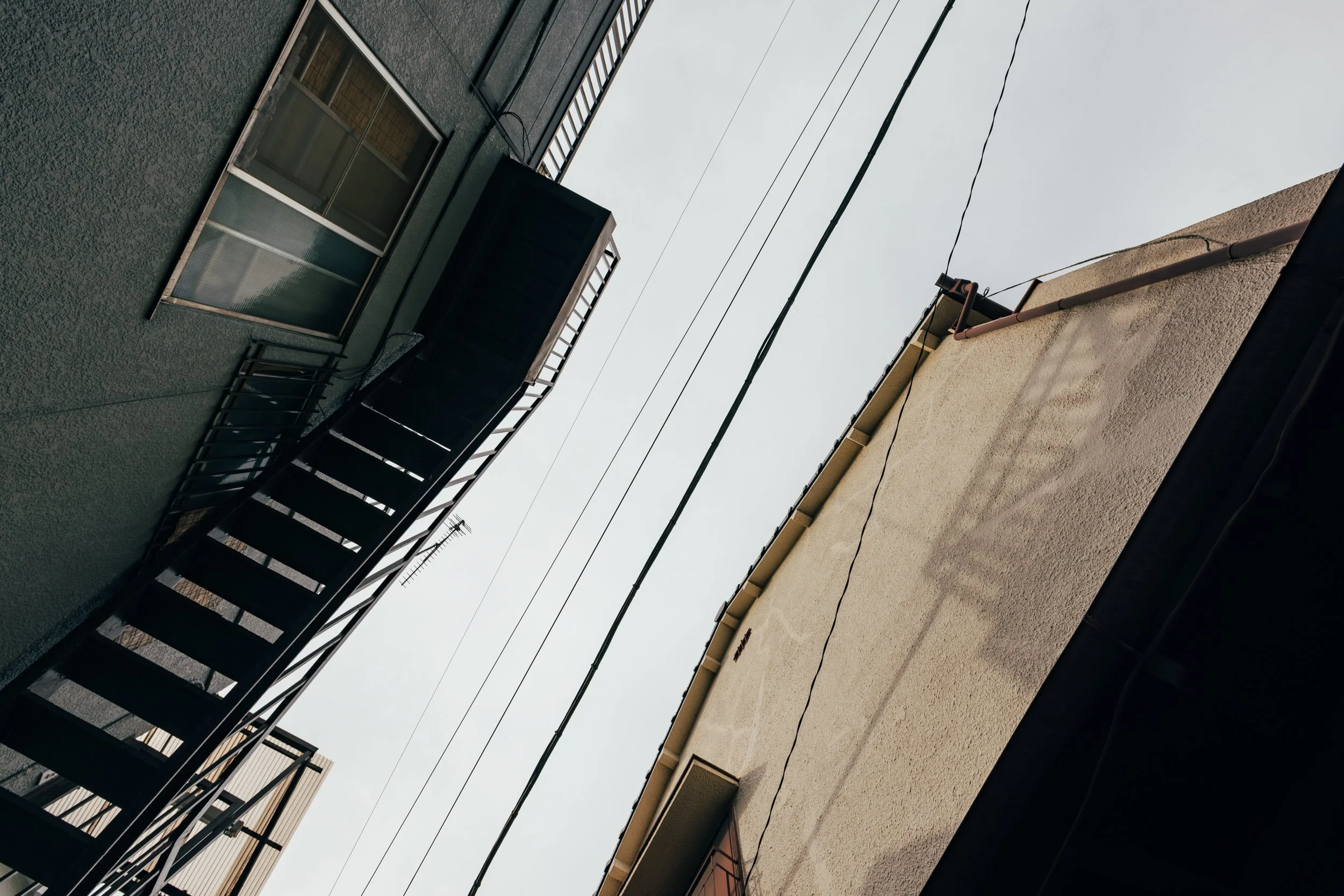 _C0A2645.jpg