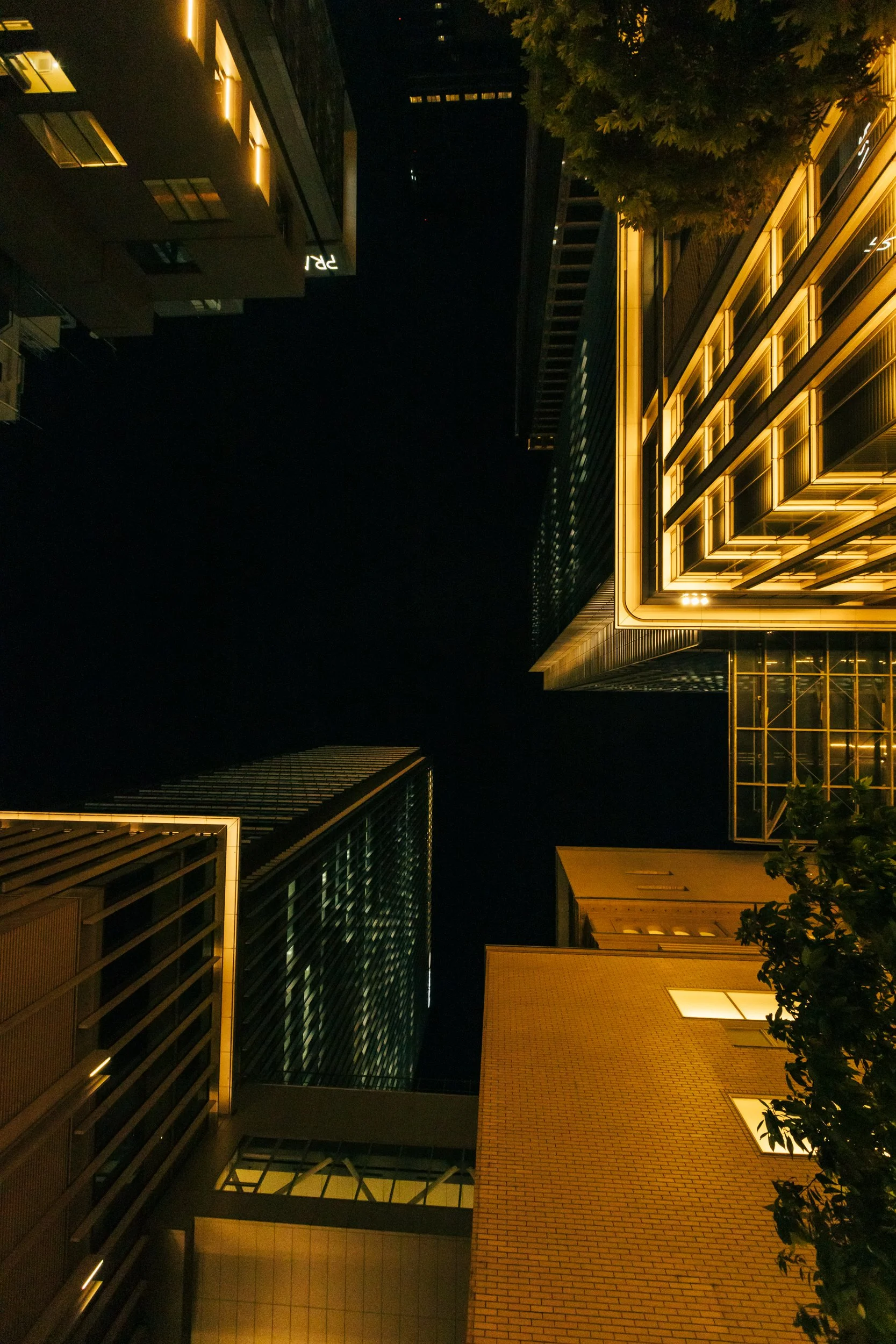 _C0A2759.jpg
