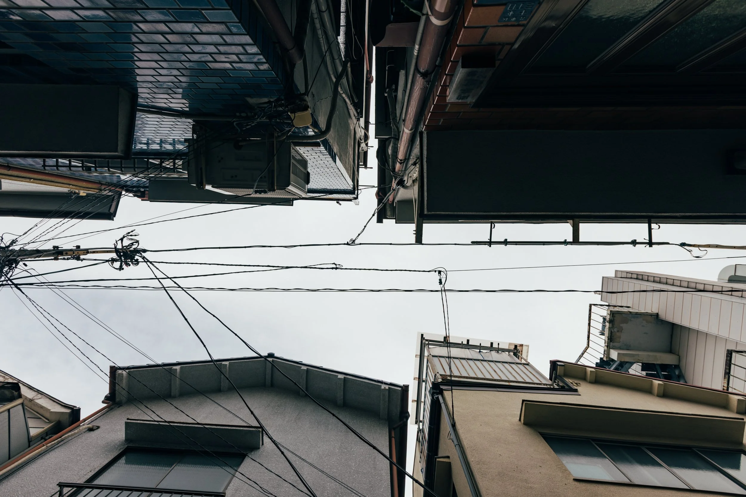 _C0A2656.jpg