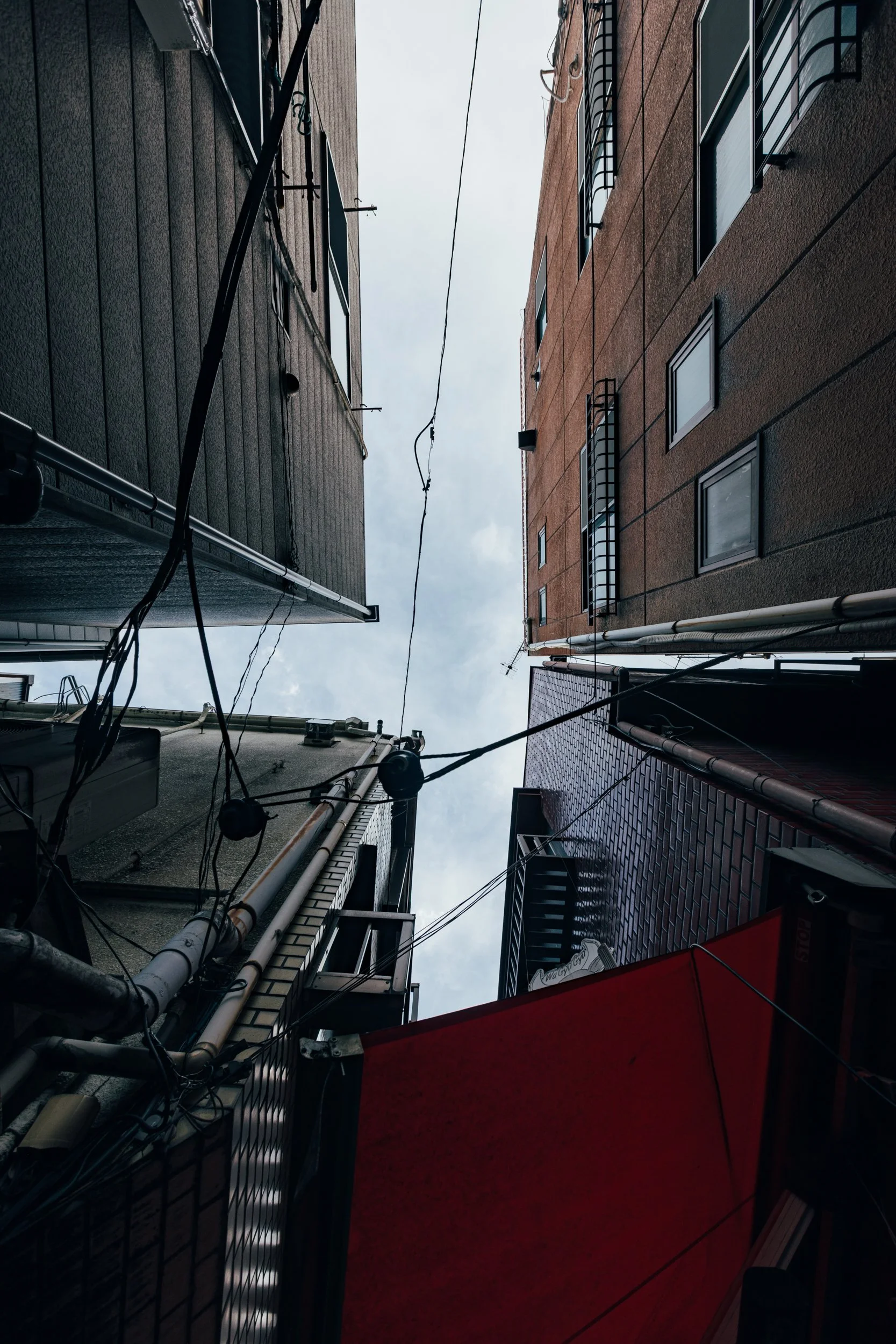 _C0A2687.jpg
