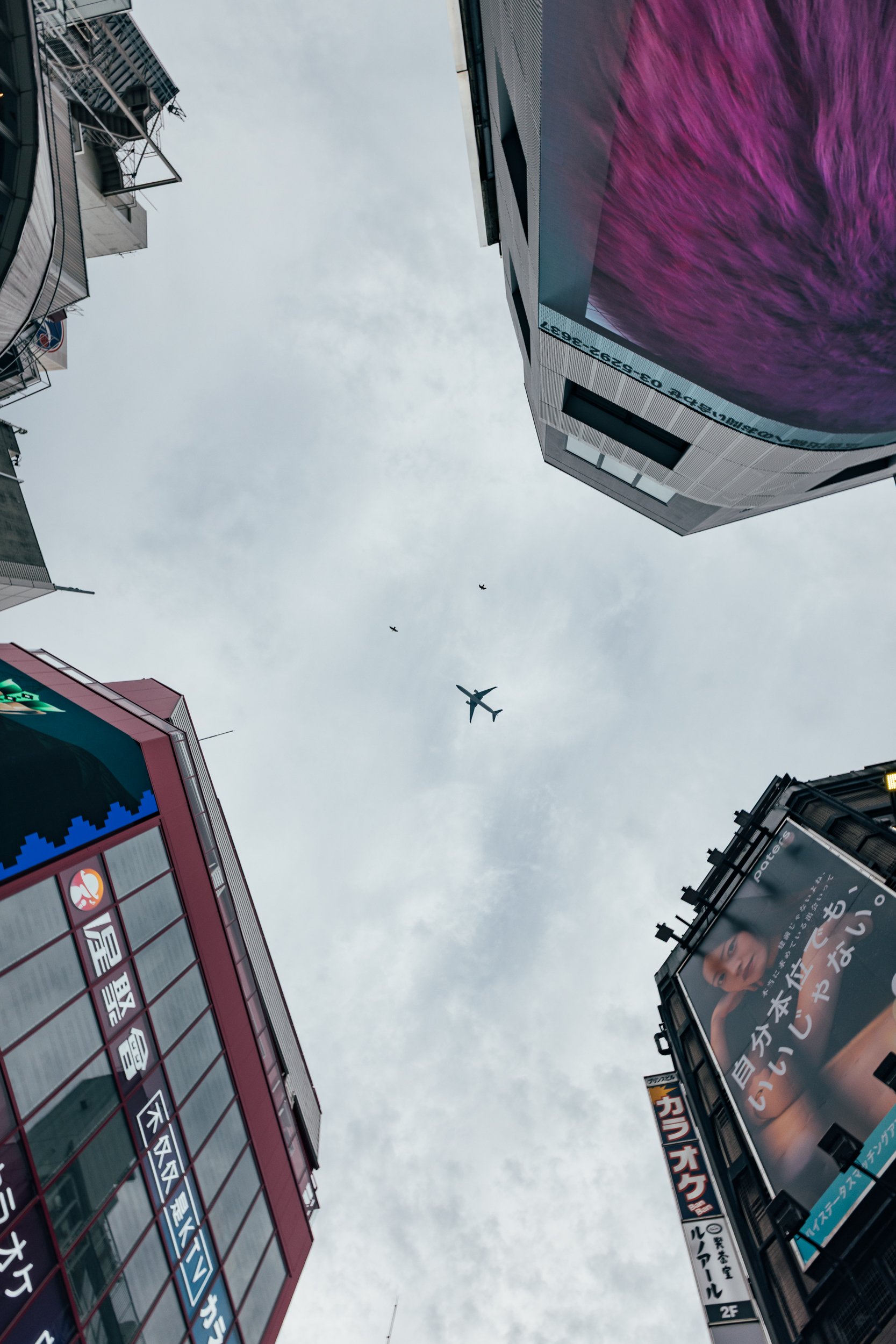 _C0A2814.jpg
