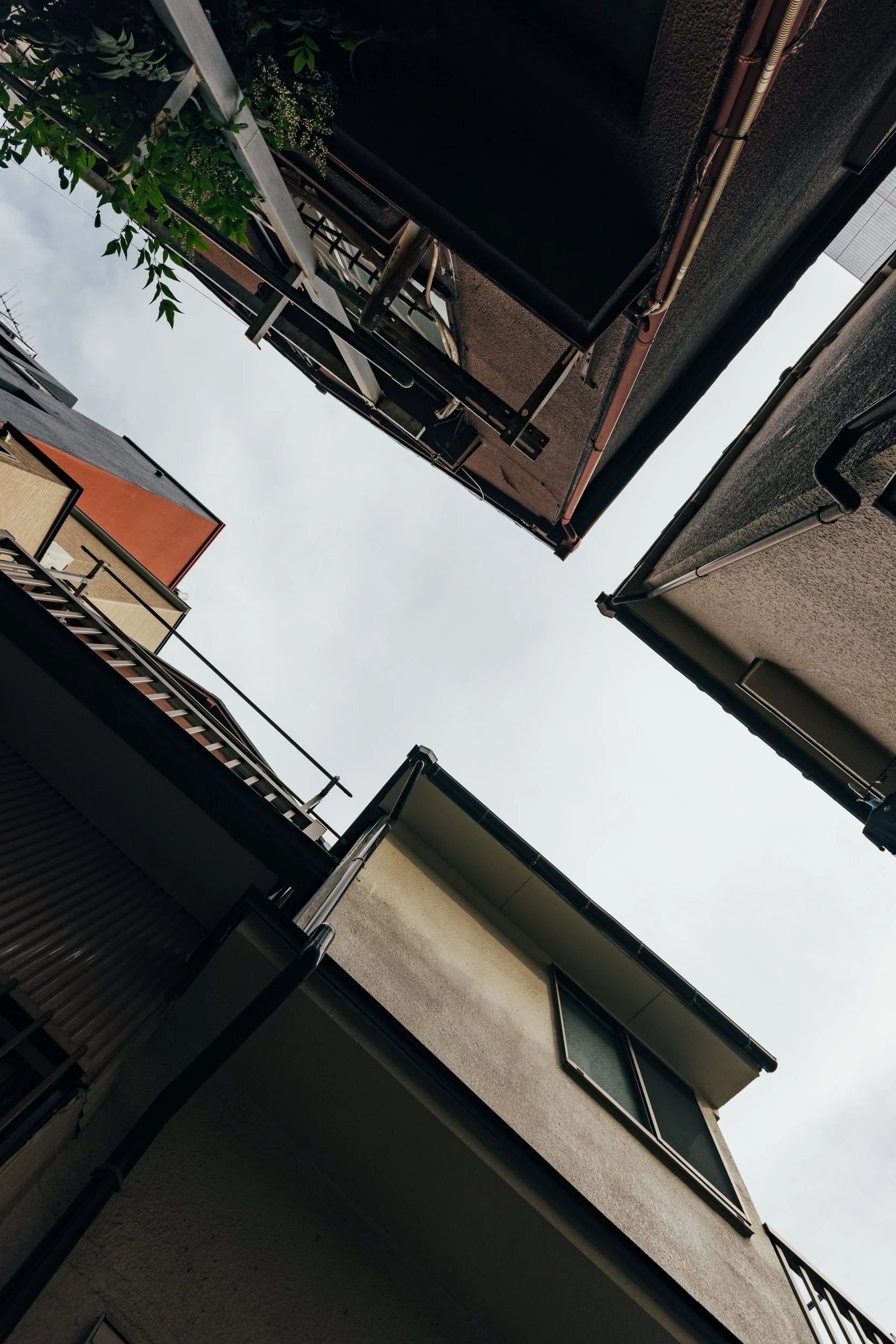 _C0A2639.jpg