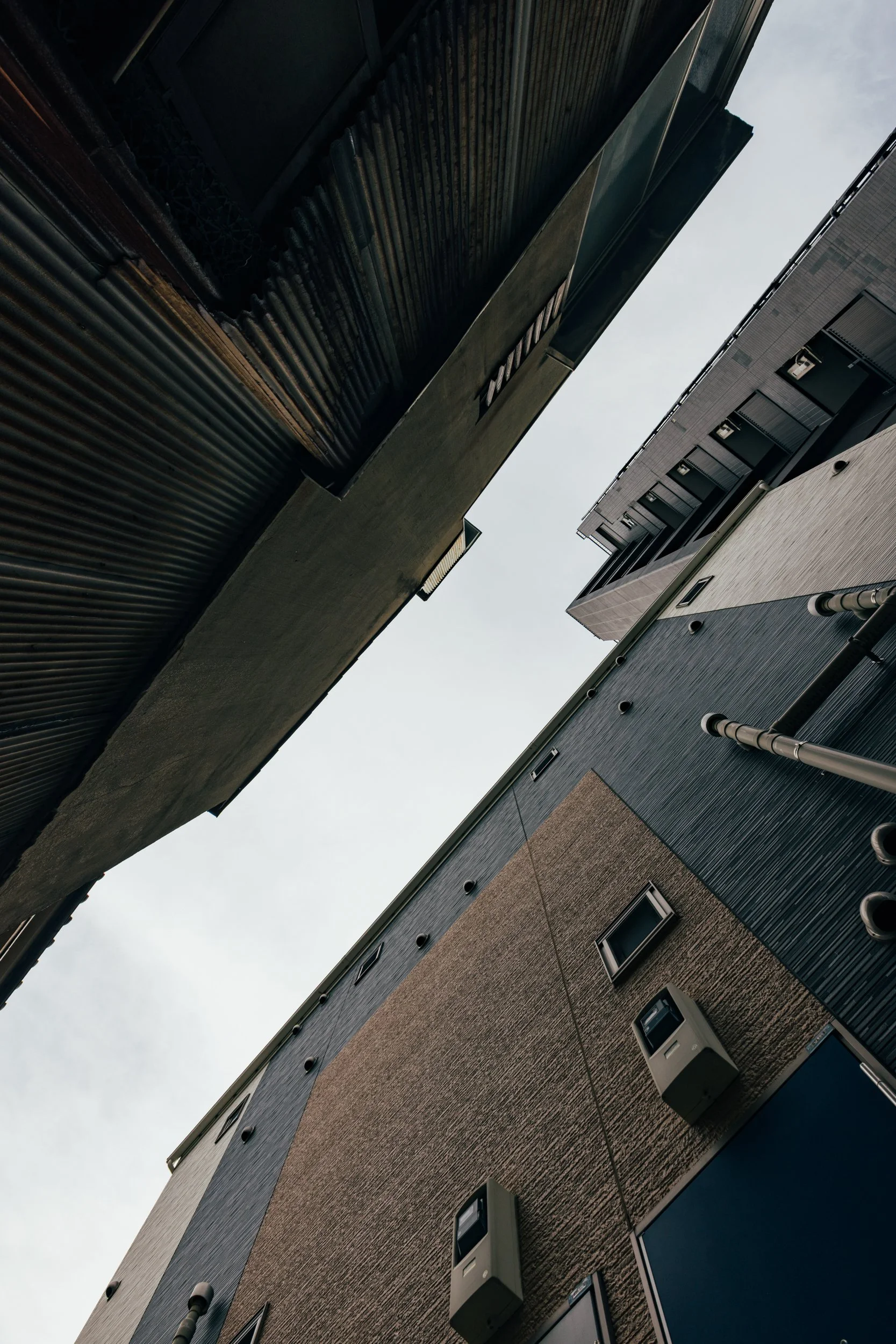_C0A2641.jpg