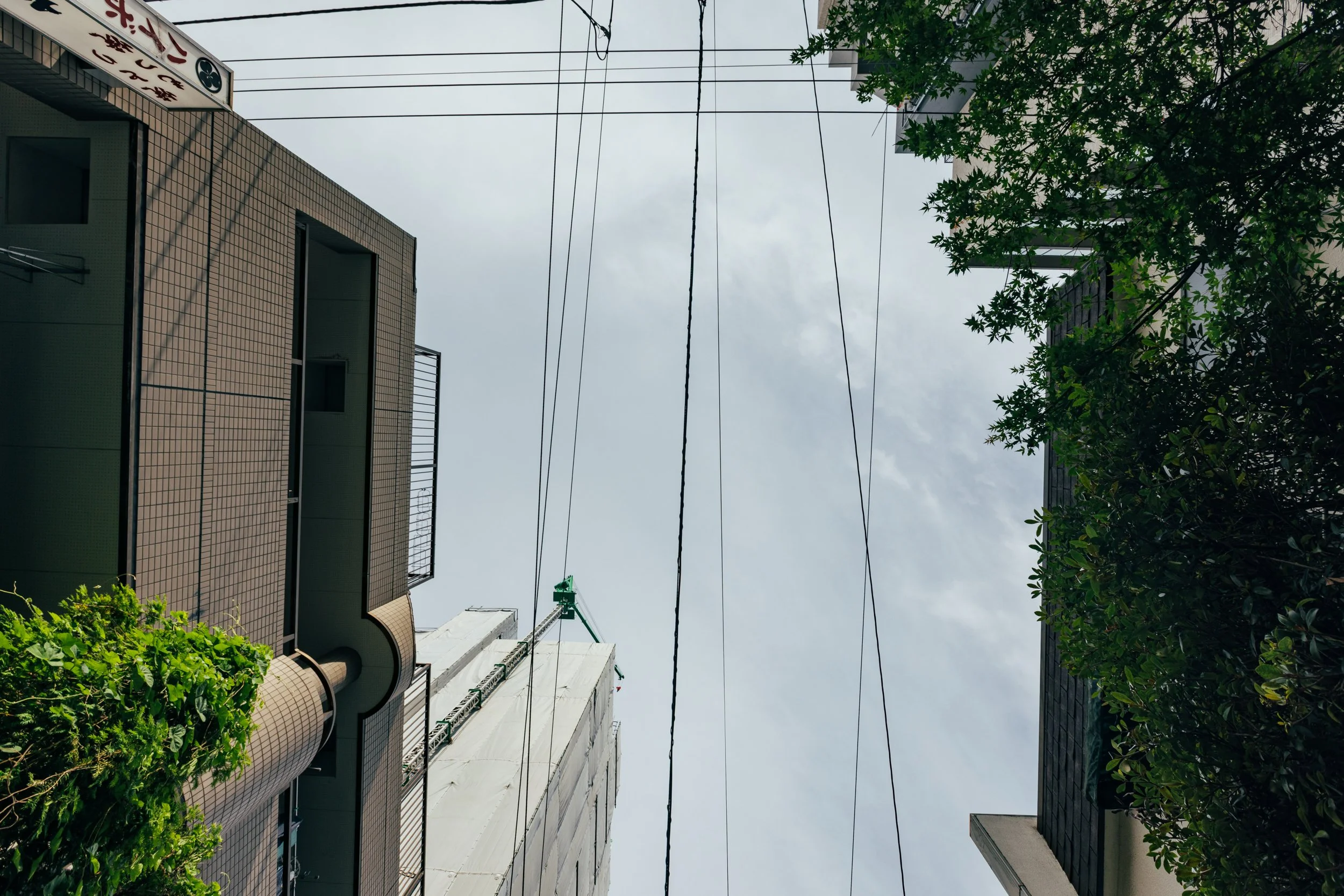 _C0A2671.jpg