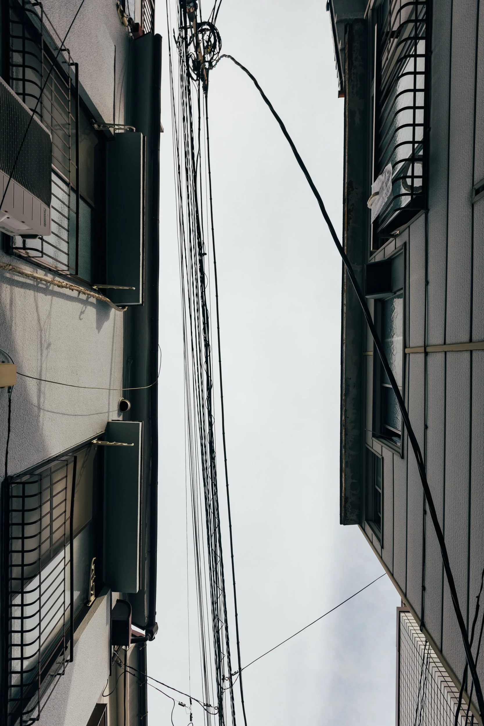 _C0A2652.jpg