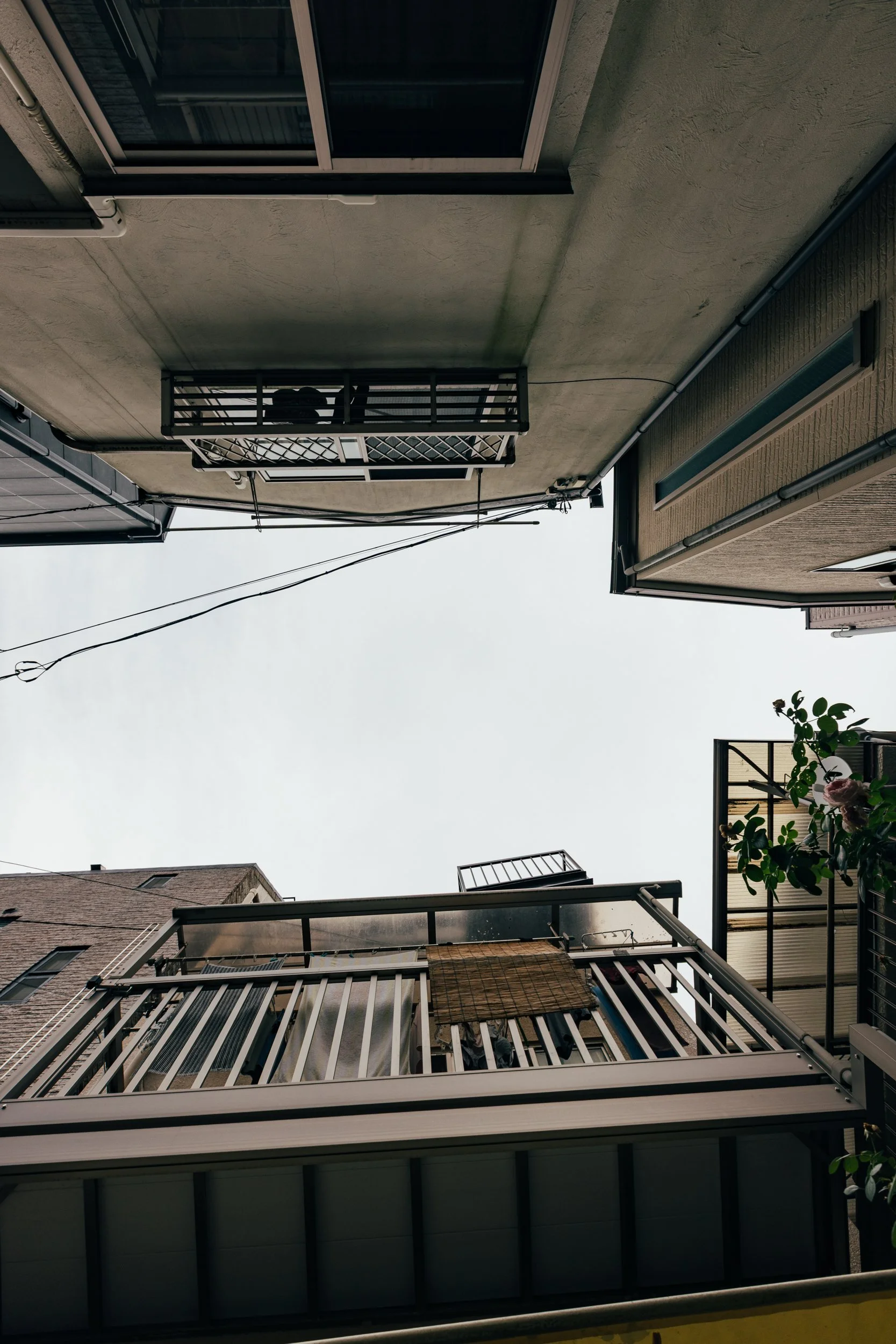 _C0A2660.jpg