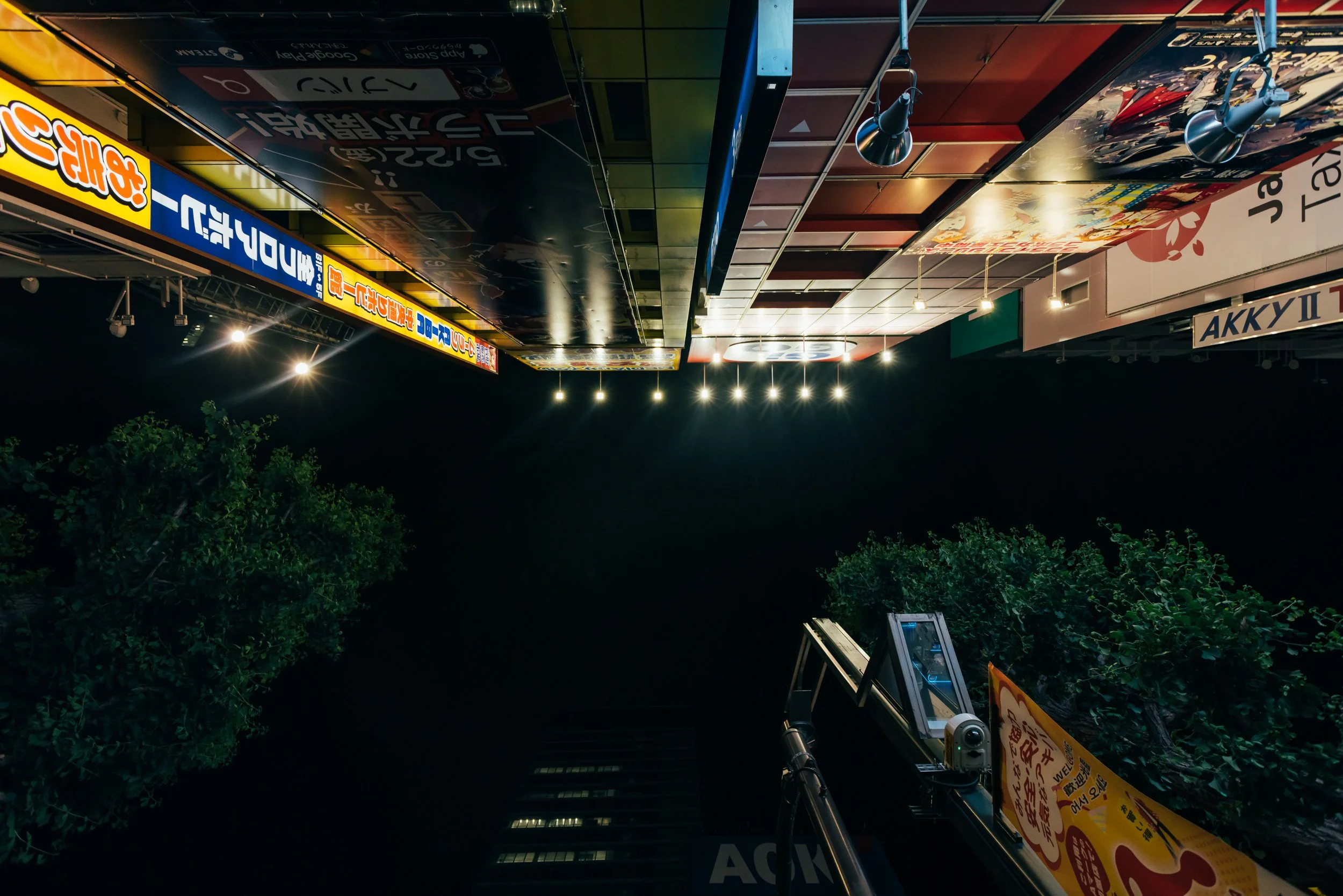 _C0A2765.jpg