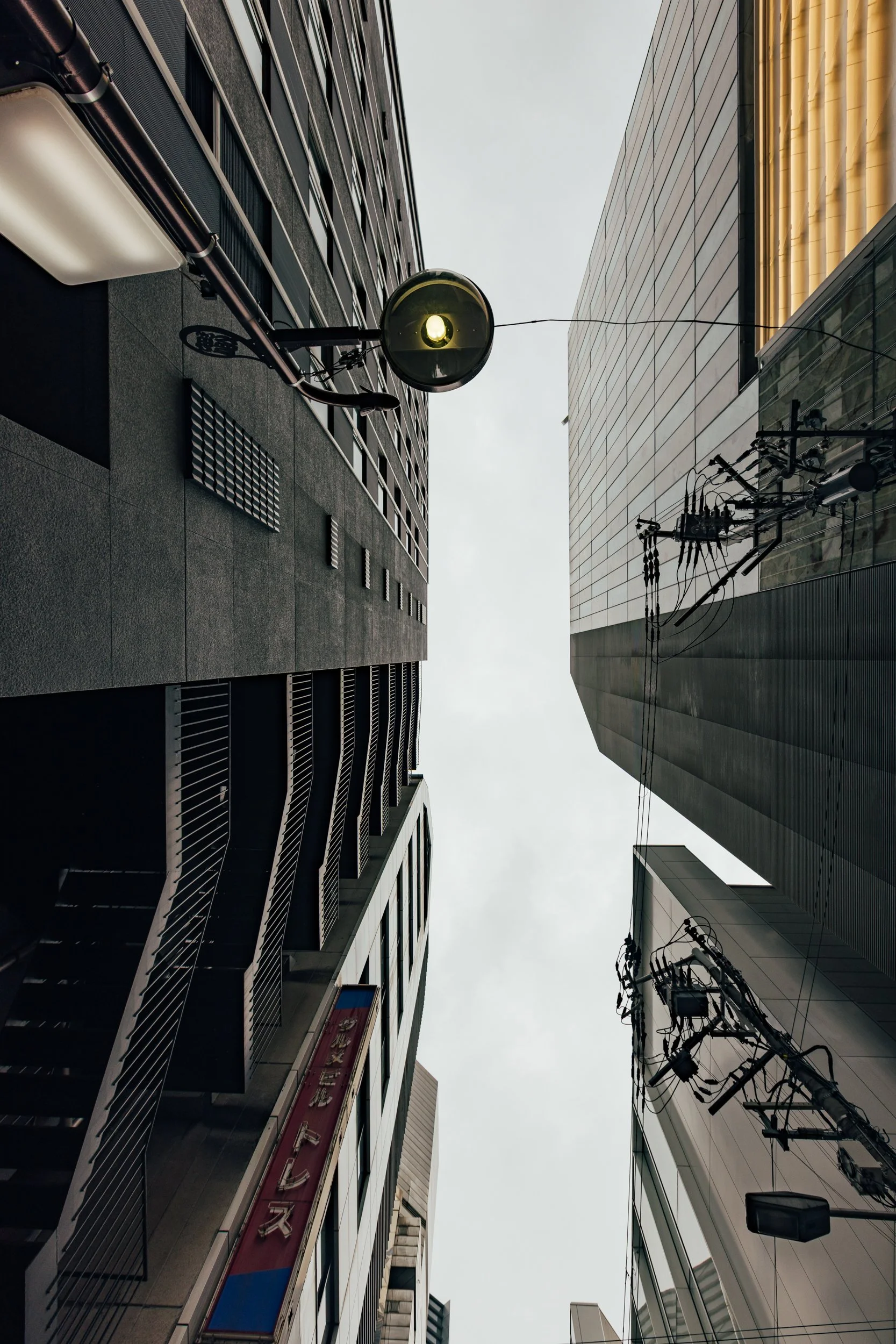_C0A2231.jpg