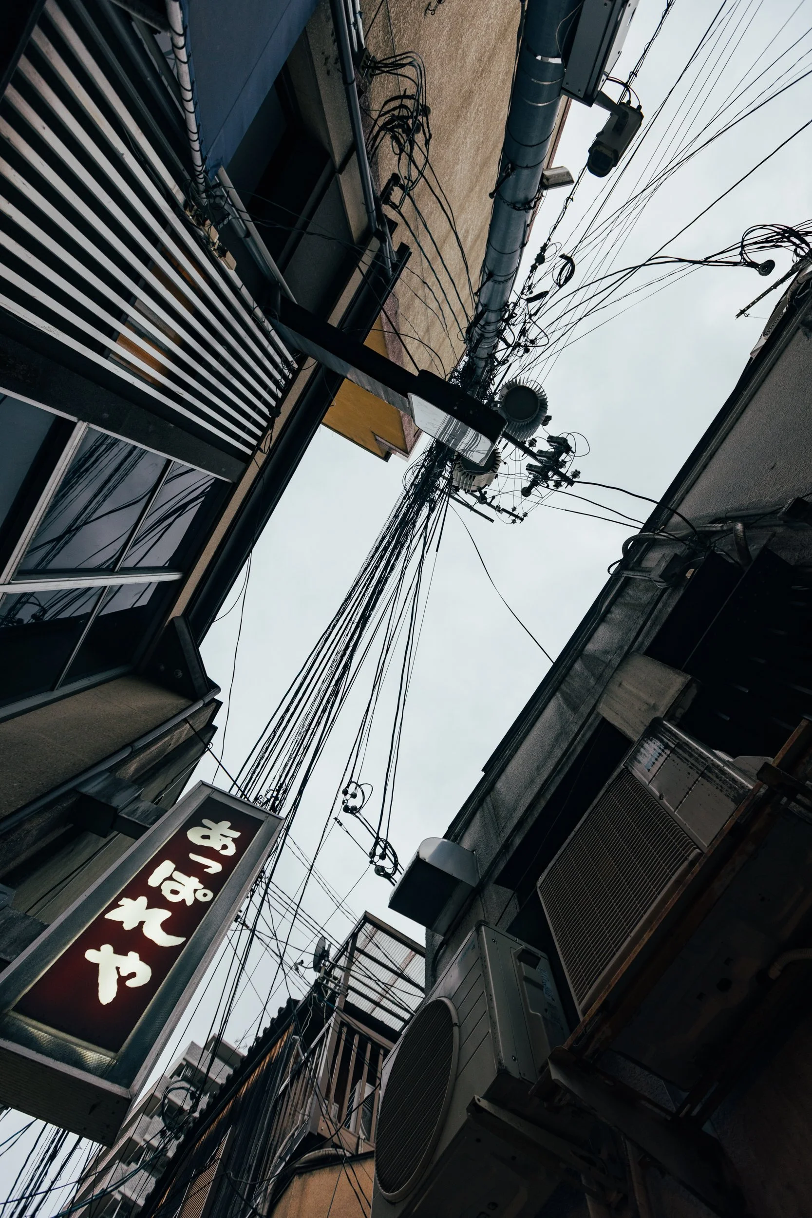 _C0A2564.jpg