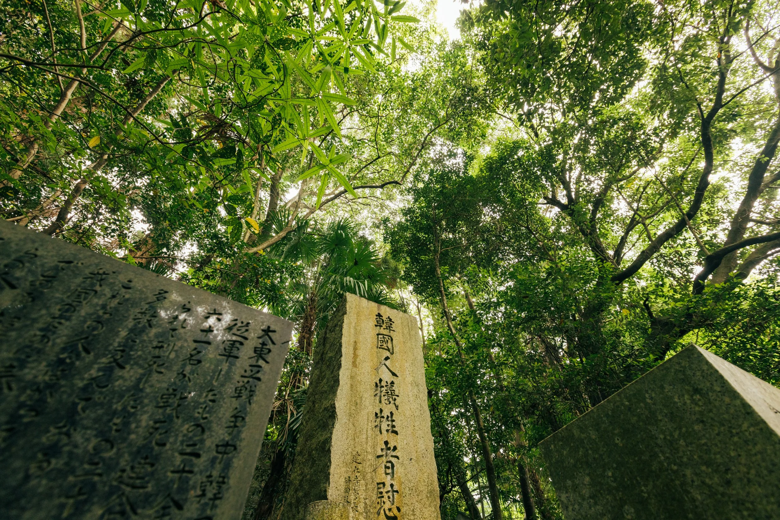 _C0A2407.jpg