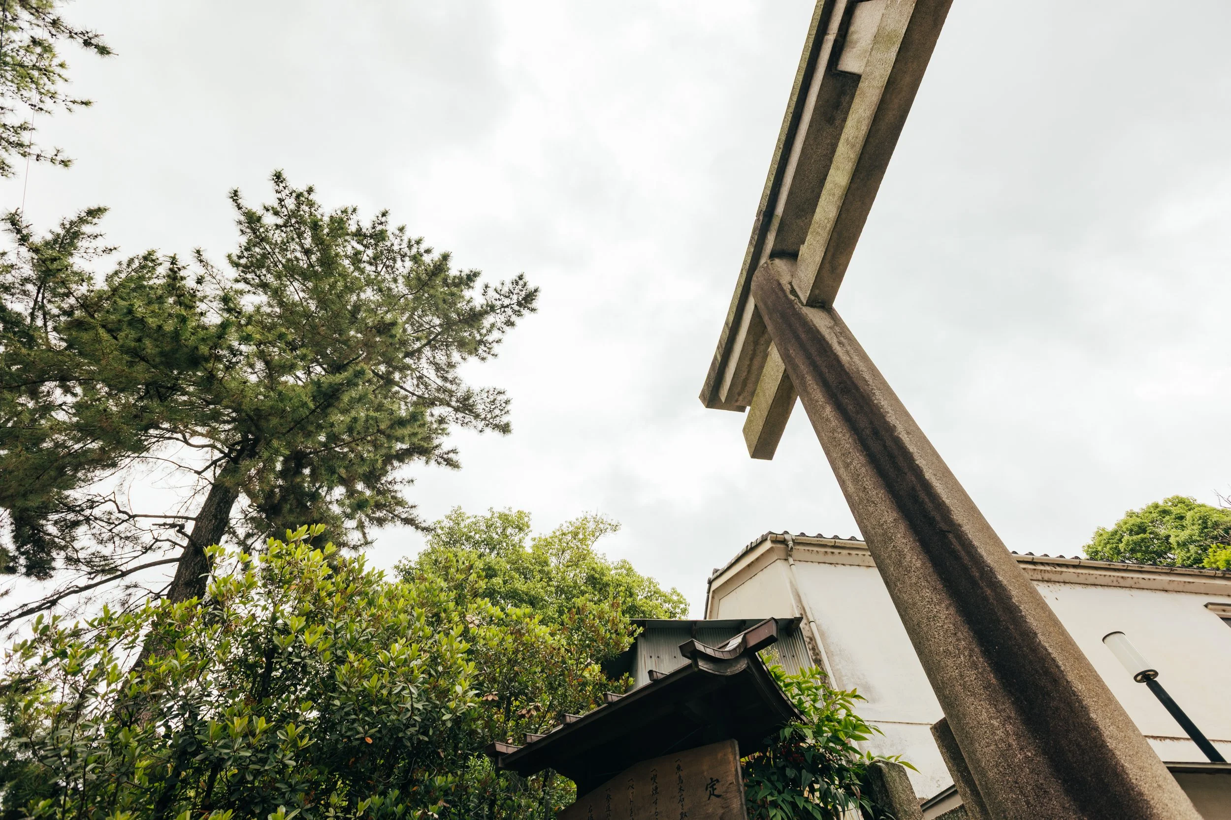 _C0A2319.jpg
