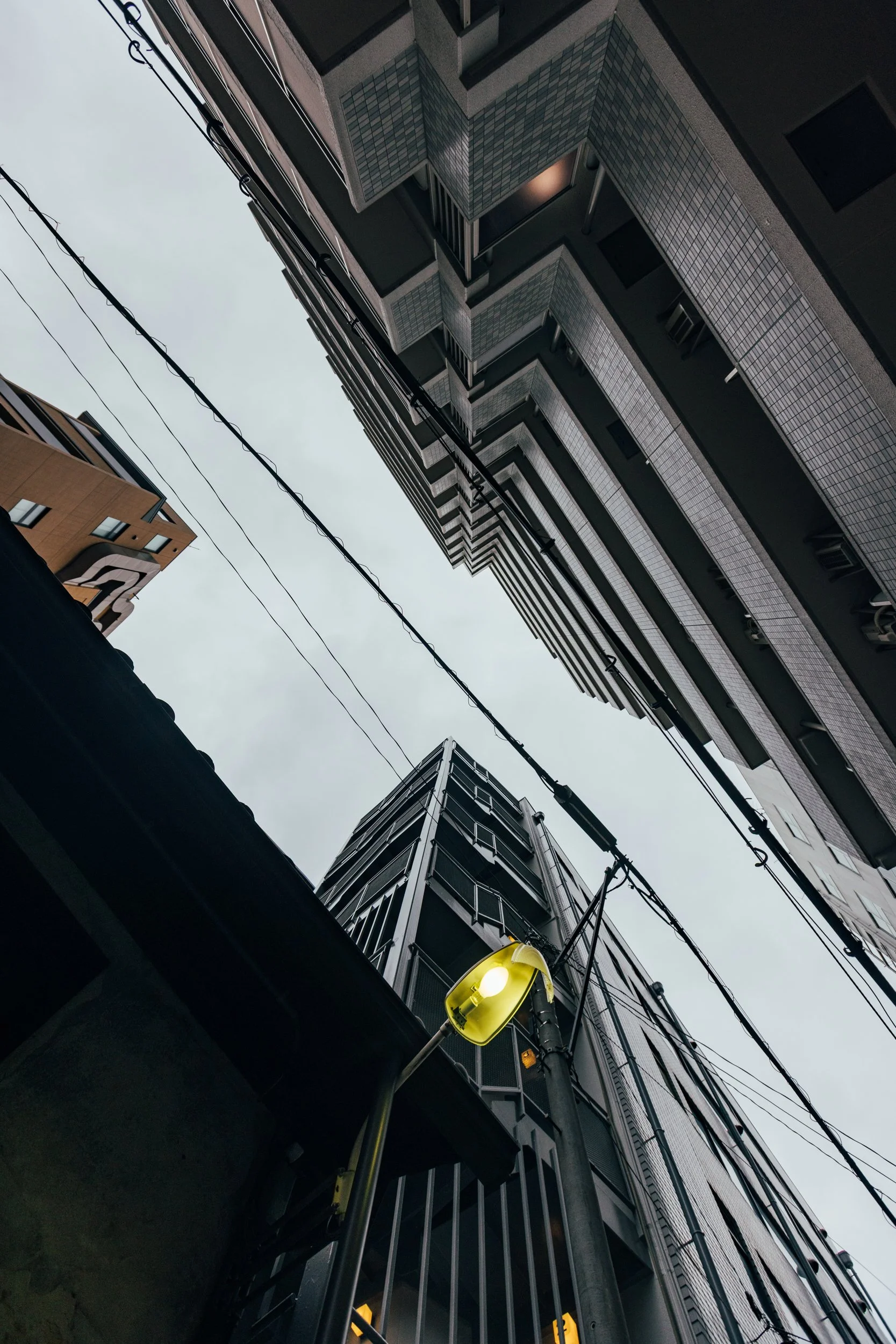 _C0A2566.jpg