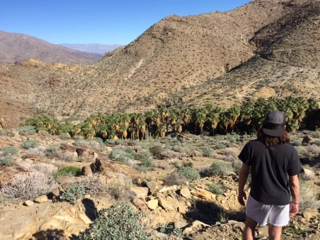 Mike looking over Palm Canyon... Do you see how it got the name?