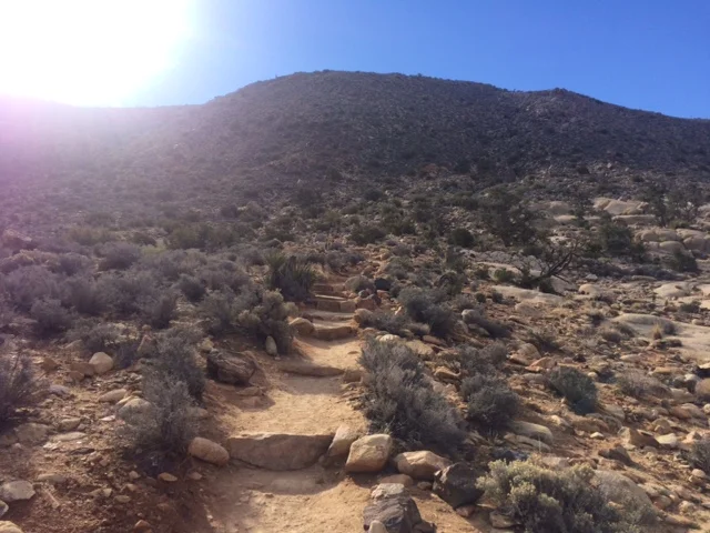 Trail Begins