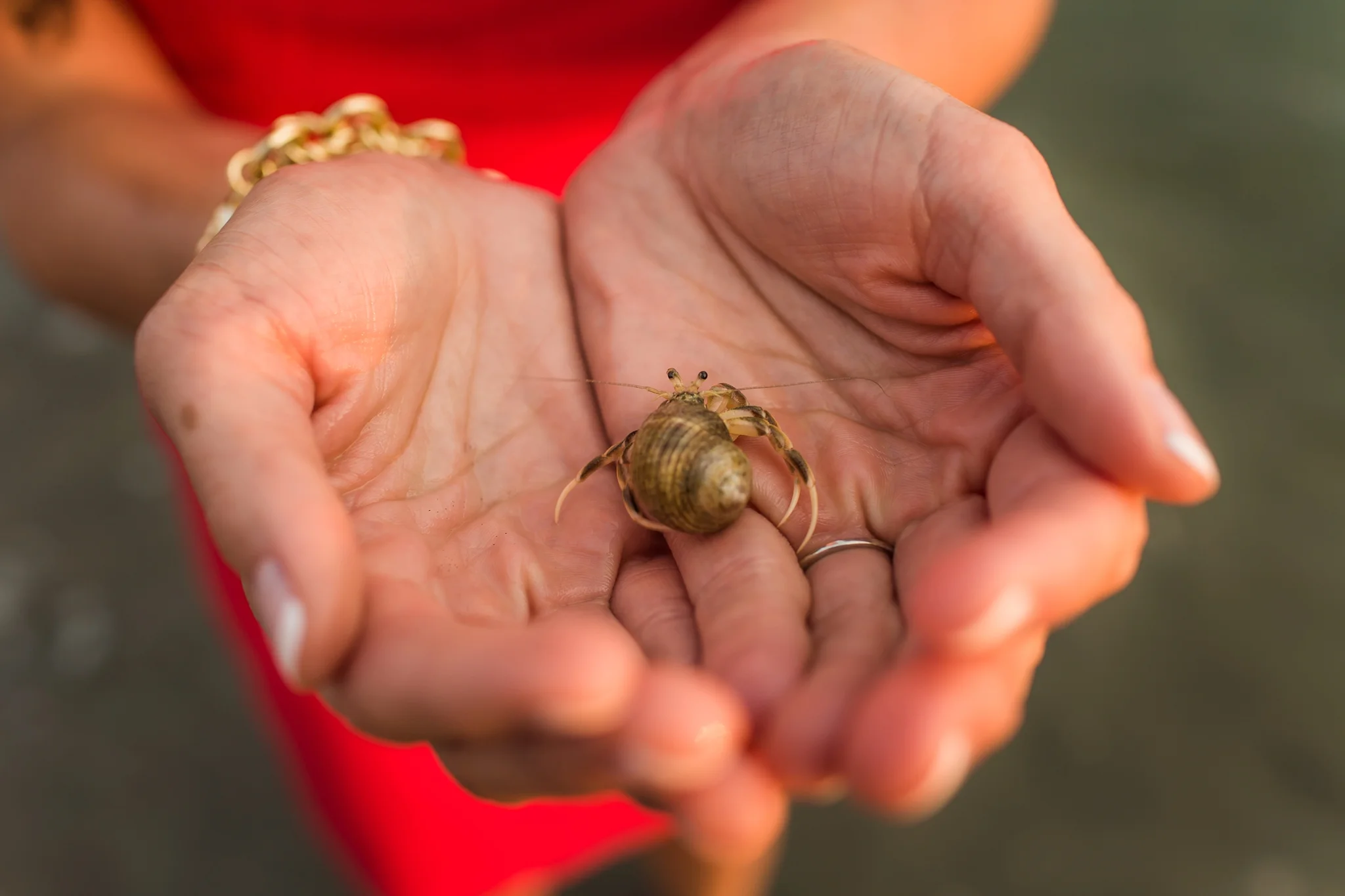 Crane Beach Engagement Emily Sean-007.jpg