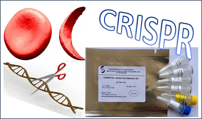 CRISPR-Dxad.png