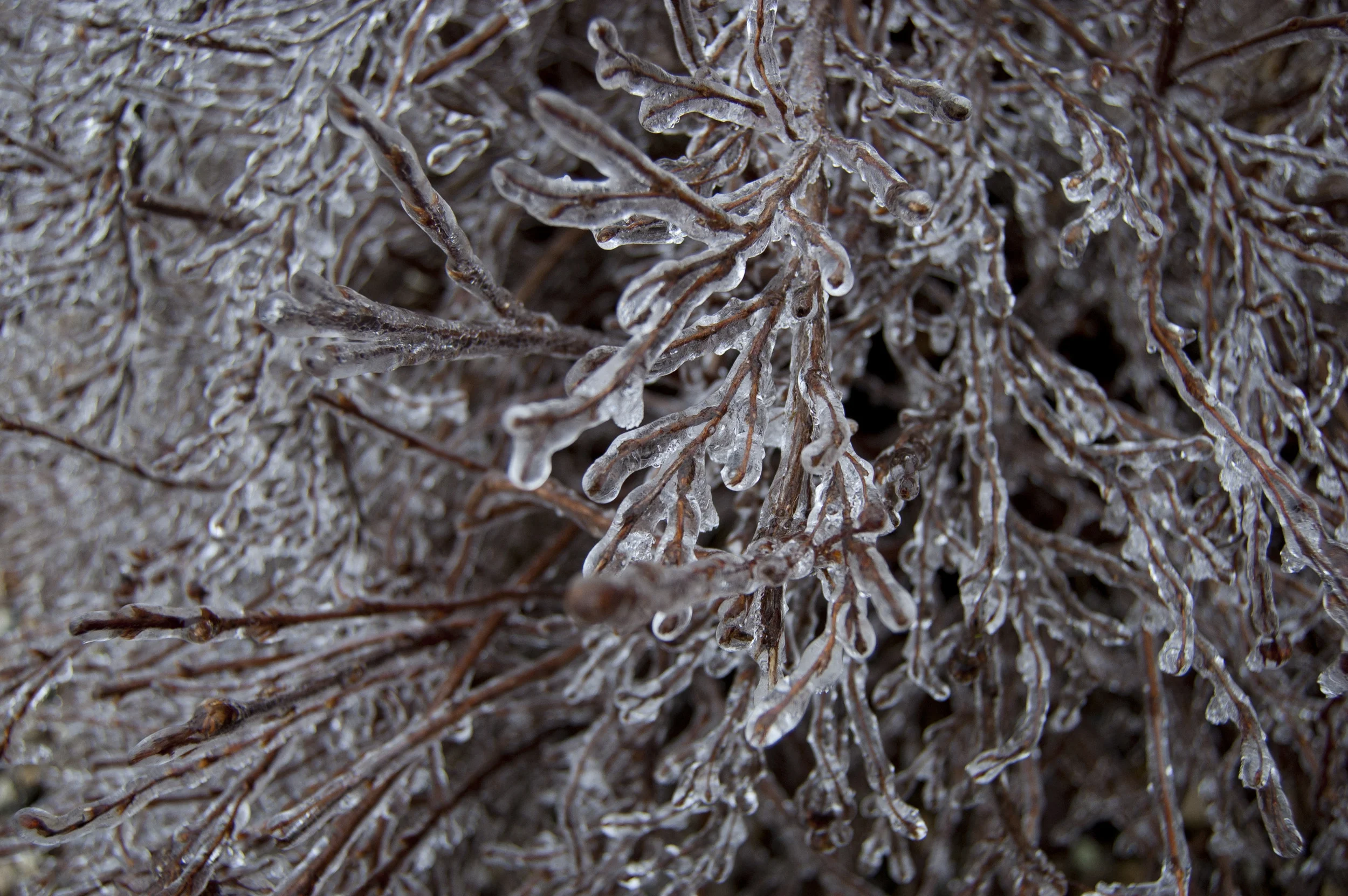 You’re Probably Not “Good”