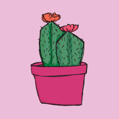 project_photos_plantsthumb.png