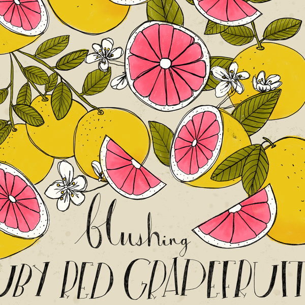 thumbnail_grapefruit.jpg
