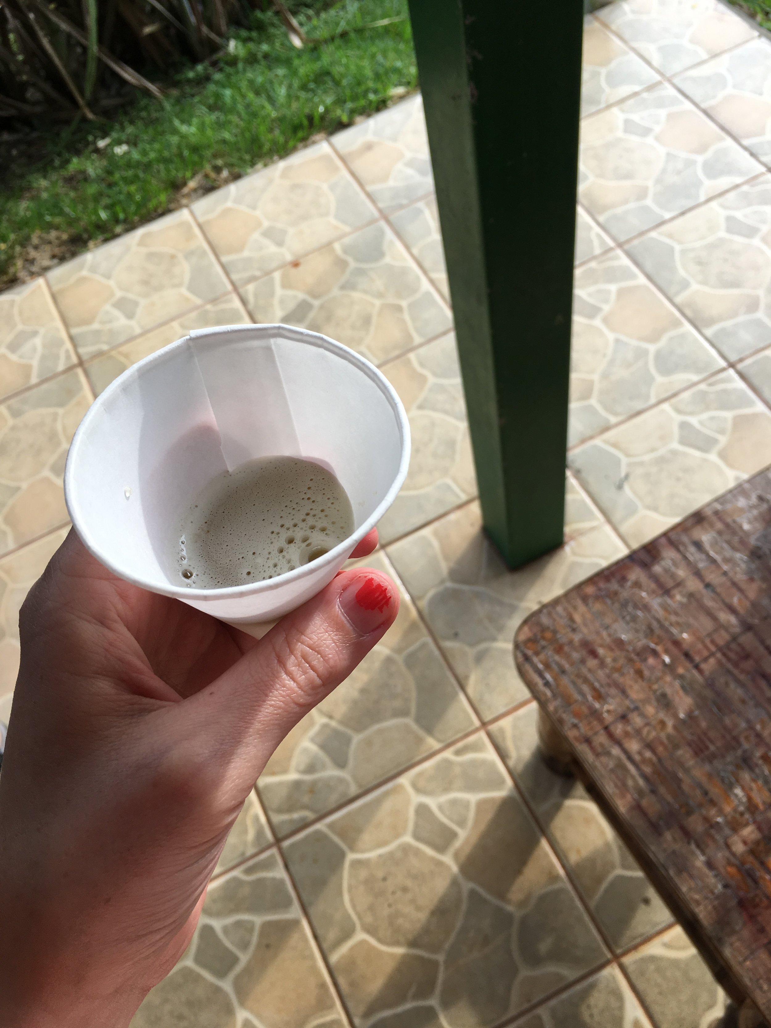 Sugar cane juice straight from the stalk