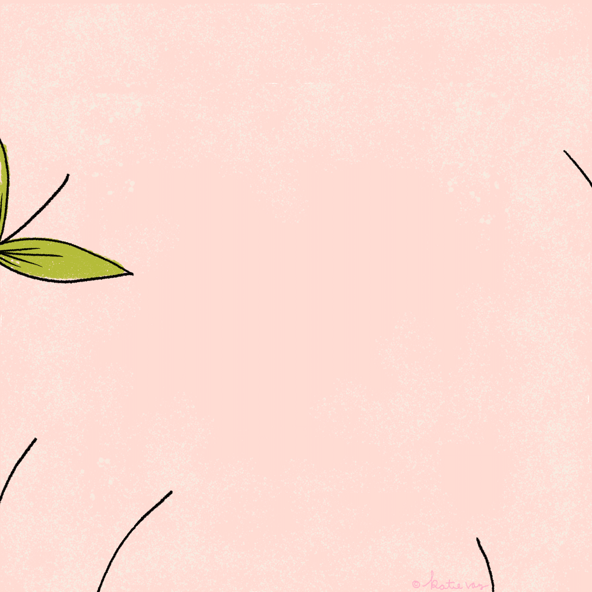 Plant and Floral Illustration — Katie Vaz