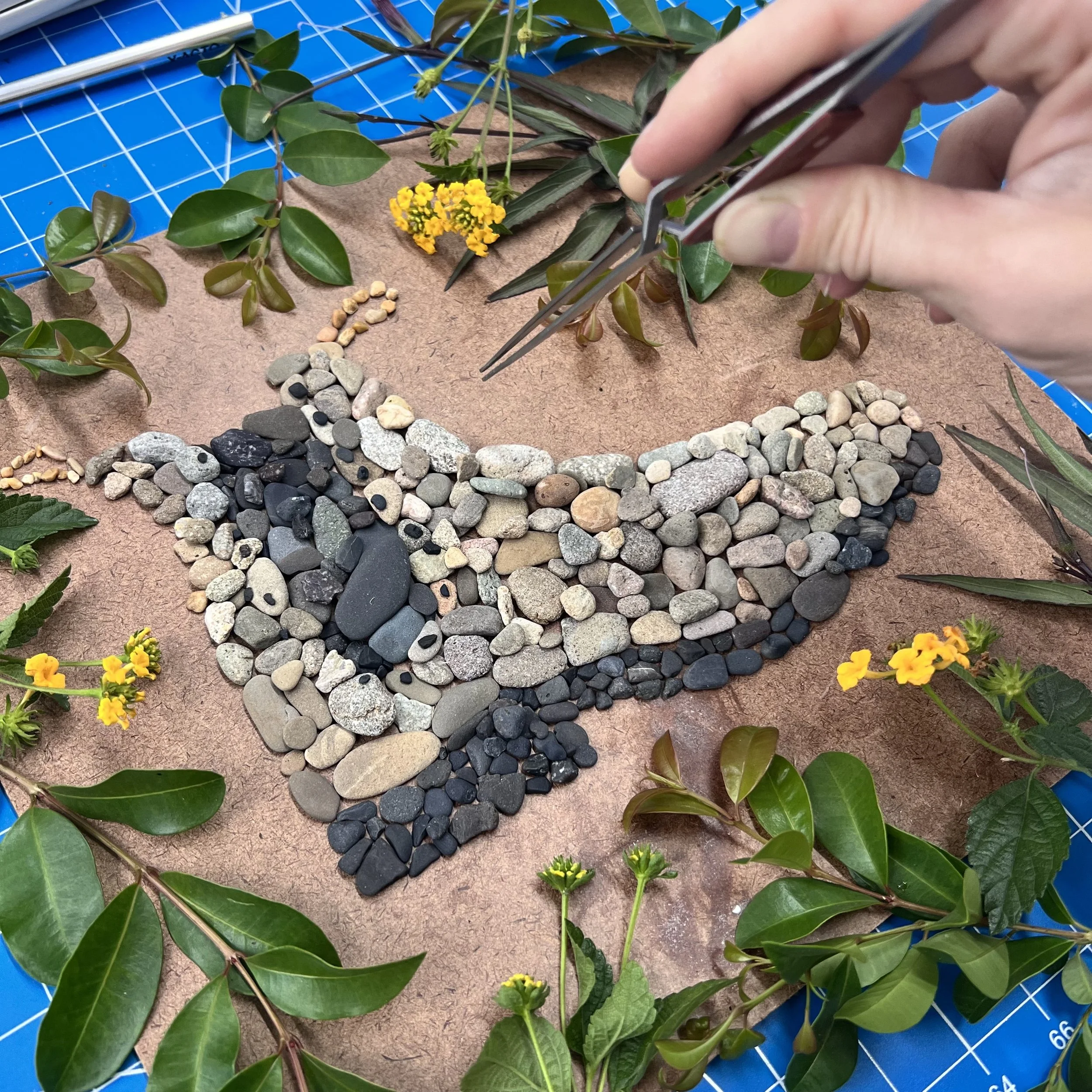 Blundstone stones.jpeg