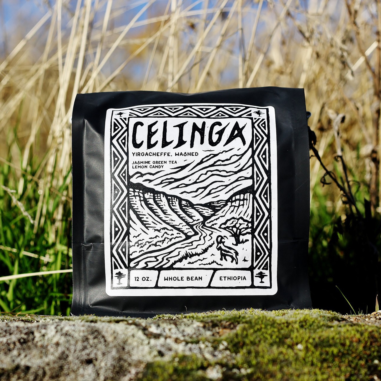 Celinga.jpeg