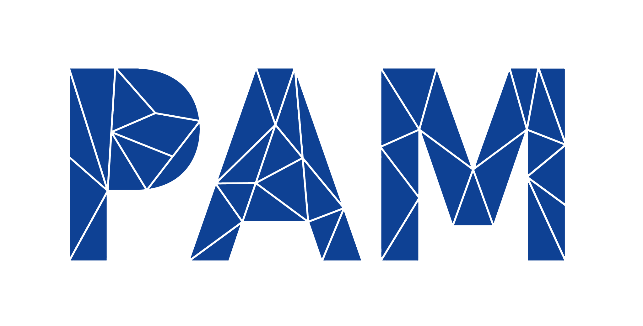 logo pam.png