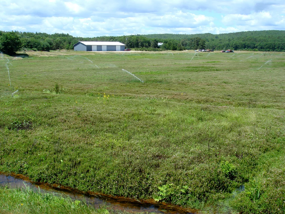 Sprinklers working on the 32 acre