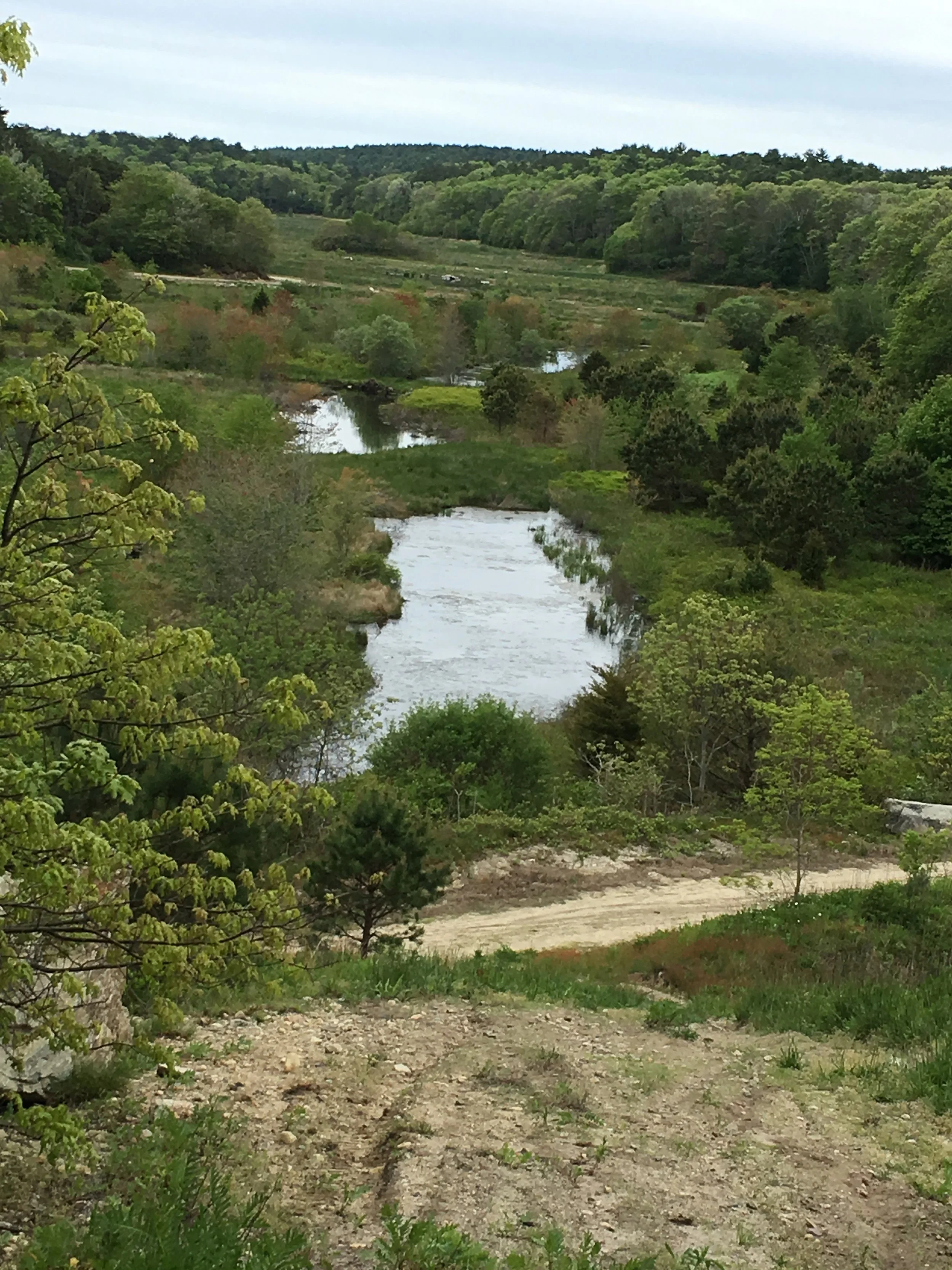 2017_0522_the_valley_Charles_wonders_if_pond_from_old_channel_will_become_a_sphagnum_bog_in_the_future_IMG_7150_cr_LivingObservatory.jpg